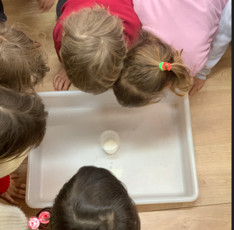 barregem oli i bicarbonat