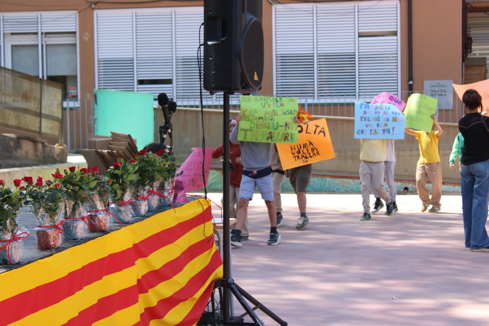 WhatsApp Image 2025-04-30 at 13.46.48