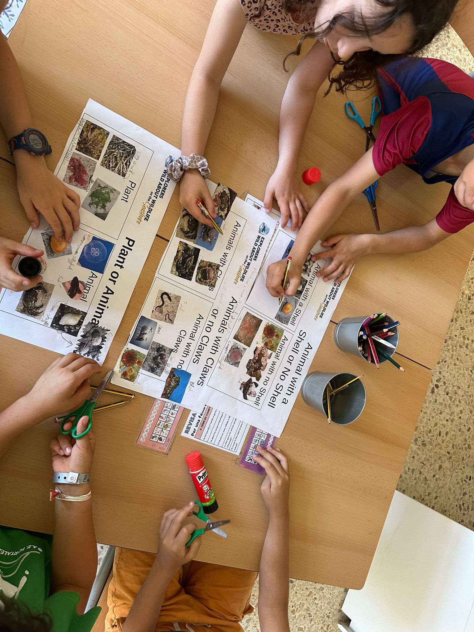 WhatsApp Image 2025-06-16 at 12.30.15 (1)