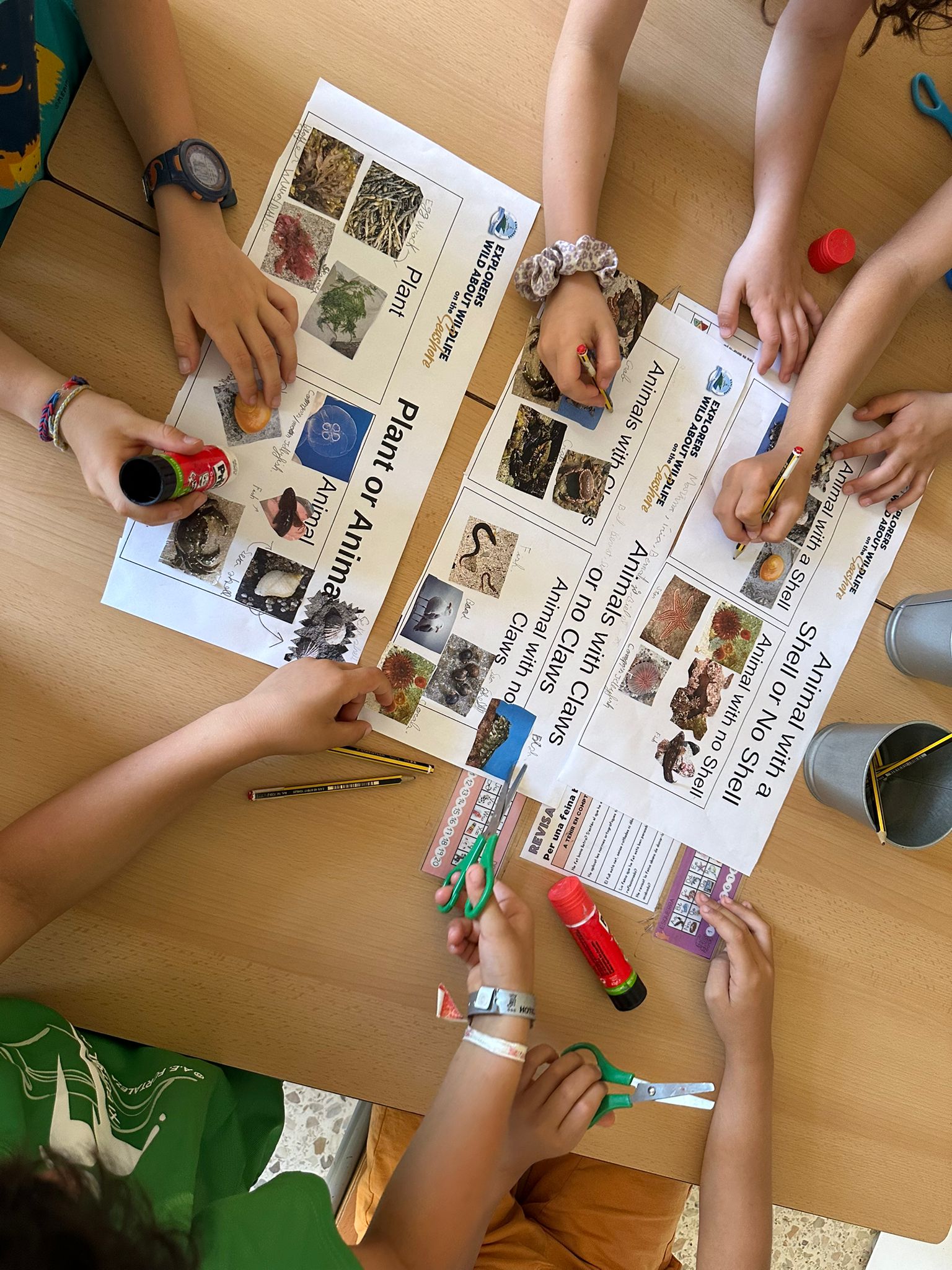 WhatsApp Image 2025-06-16 at 12.30.15