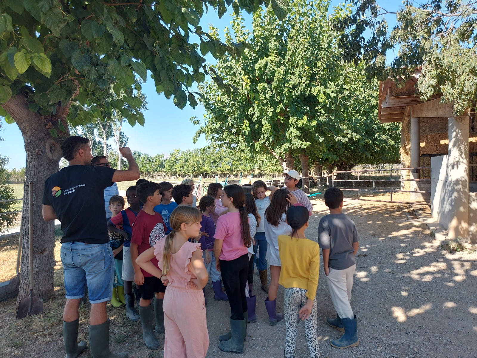 12b5b3dc-21d5-4df0-b46f-59b023da2bc1