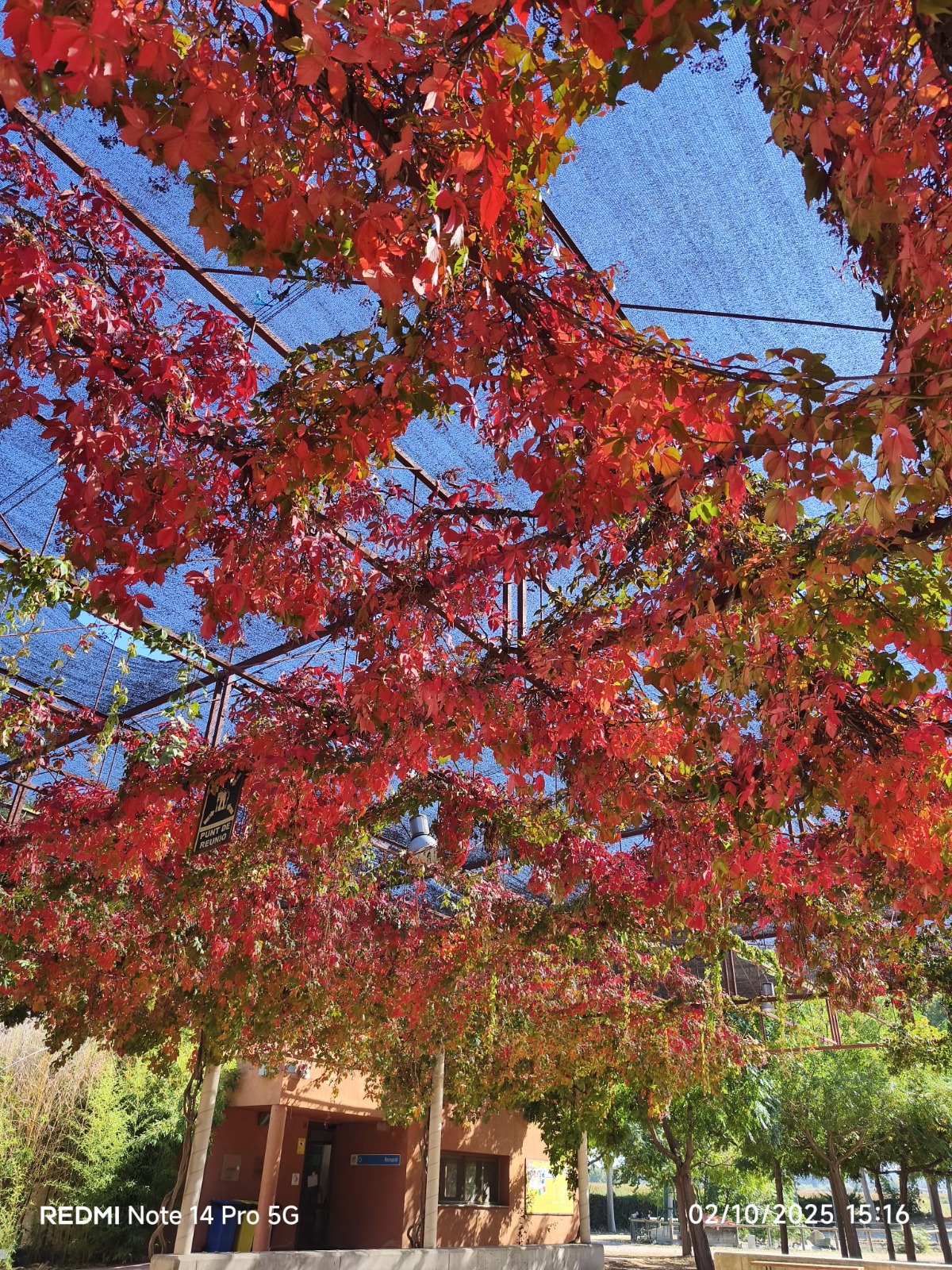 982aa3fe-cc17-411c-9bb7-6e7e453ce378