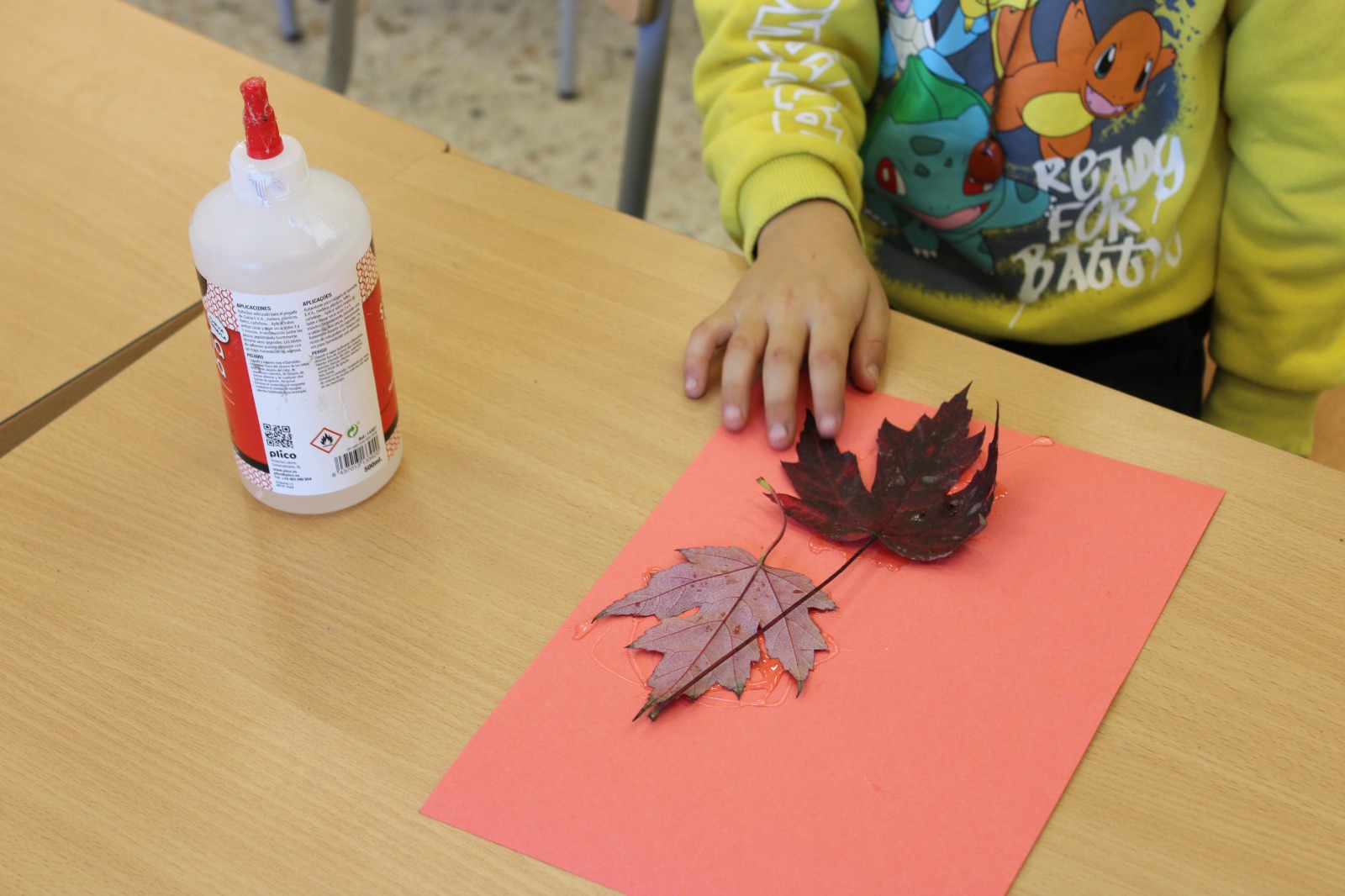 COLLAGE AMB ELEMENTS NATURALS