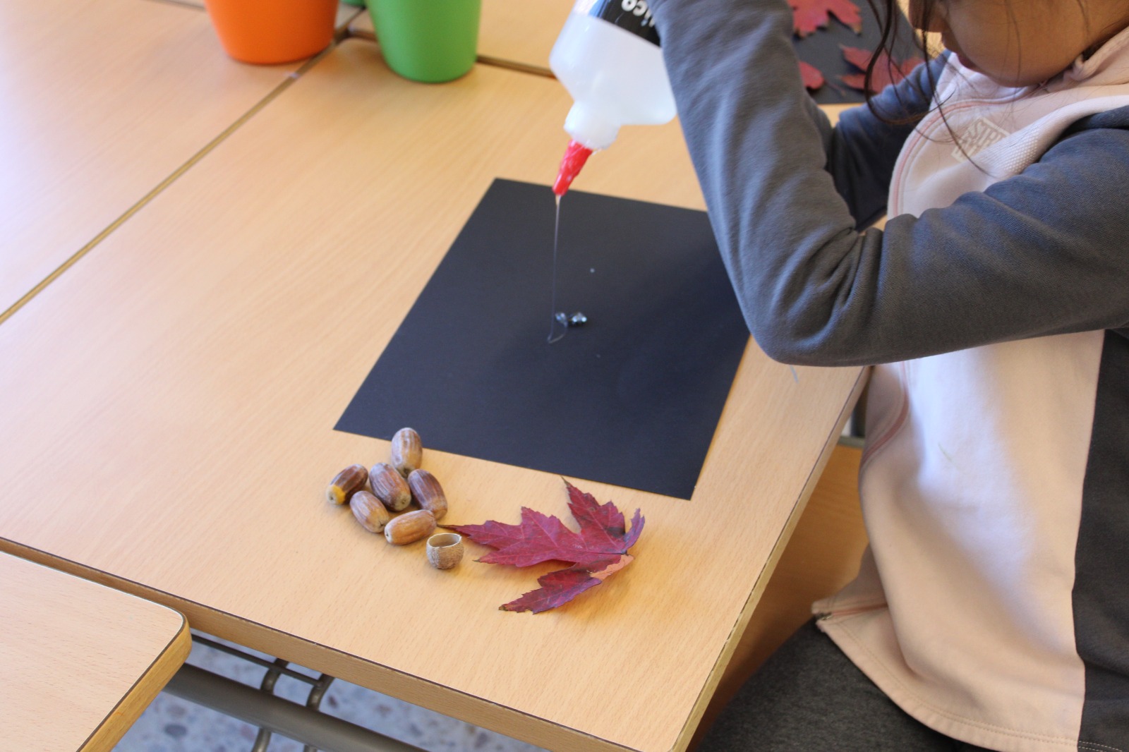 COLLAGE AMB ELEMENTS NATURALS