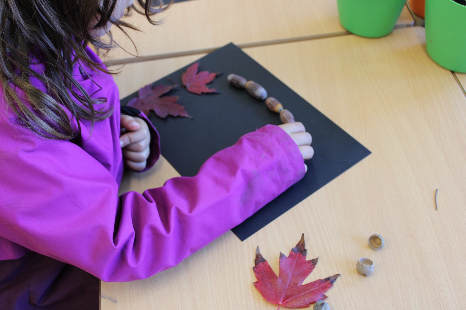 COLLAGE AMB ELEMENTS NATURALS