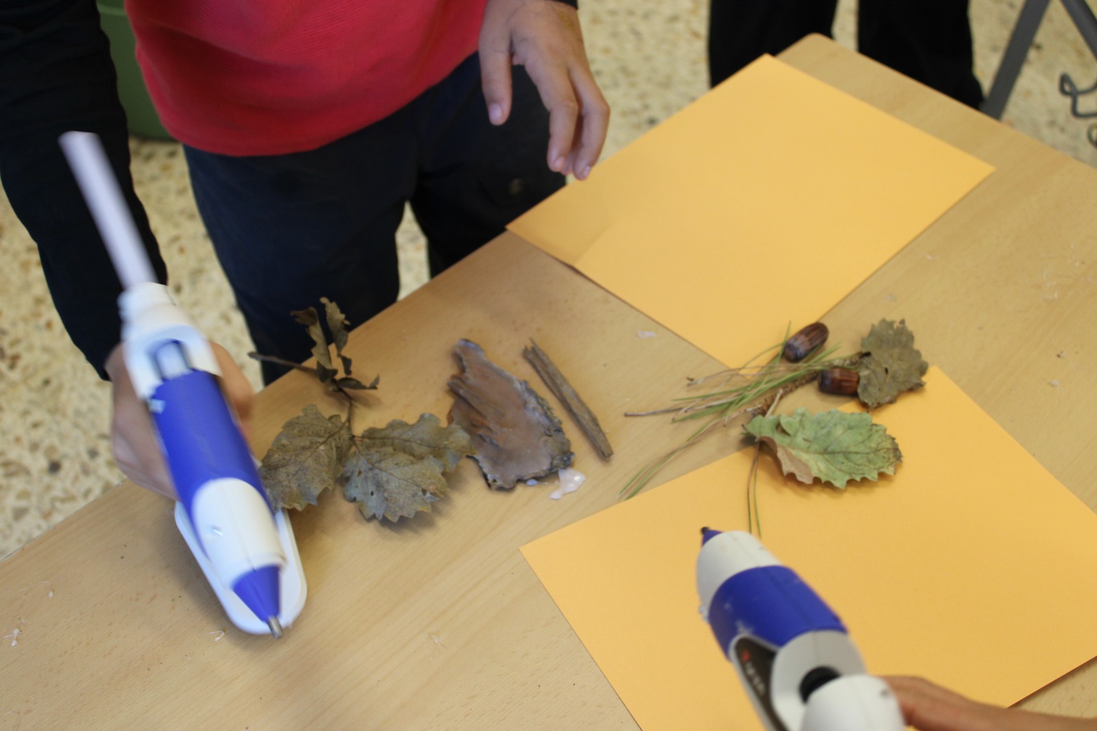 COLLAGE AMB ELEMENTS NATURALS