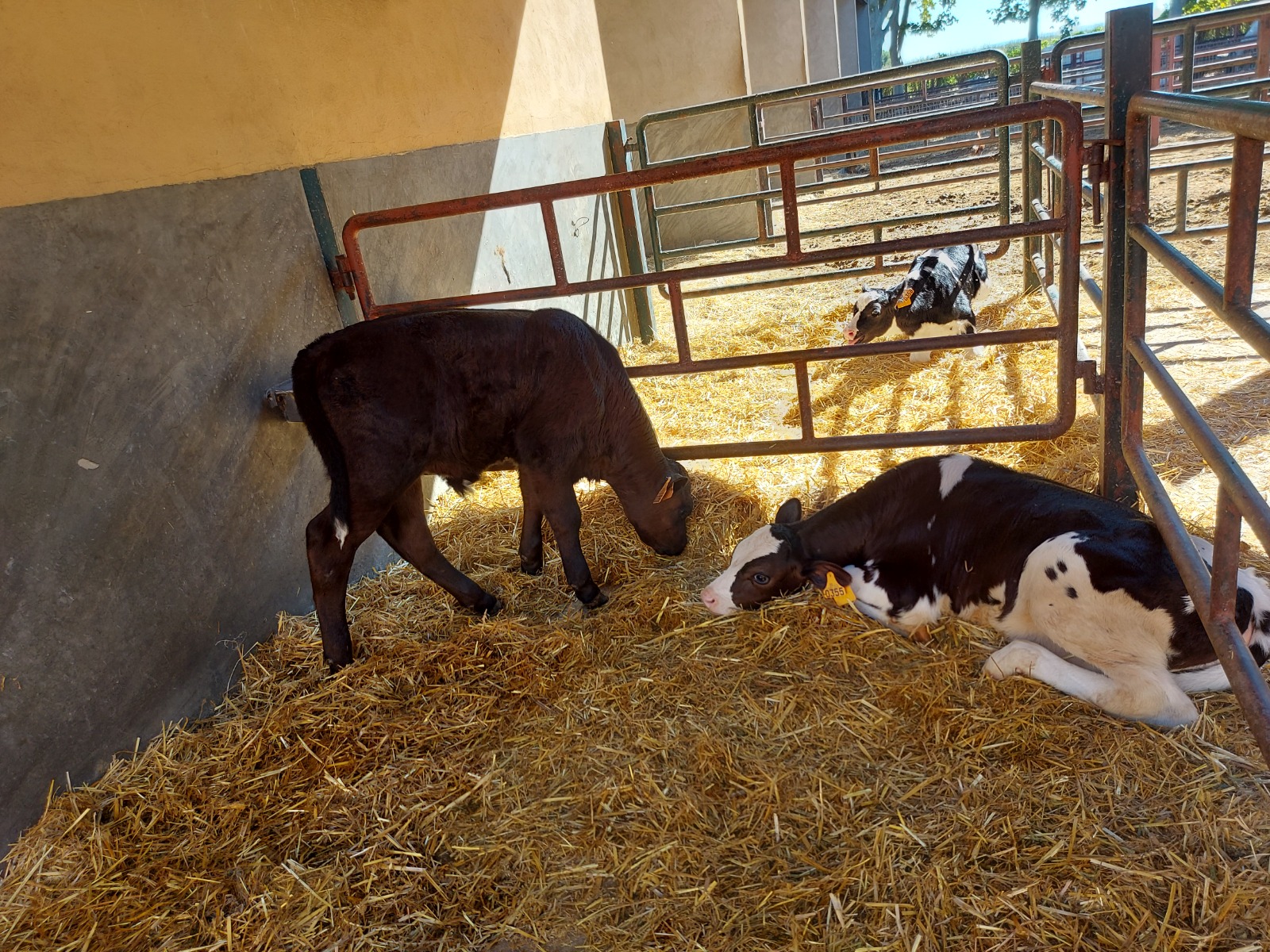 e0d9dc3f-be9d-46b6-a86b-22cb479d2898