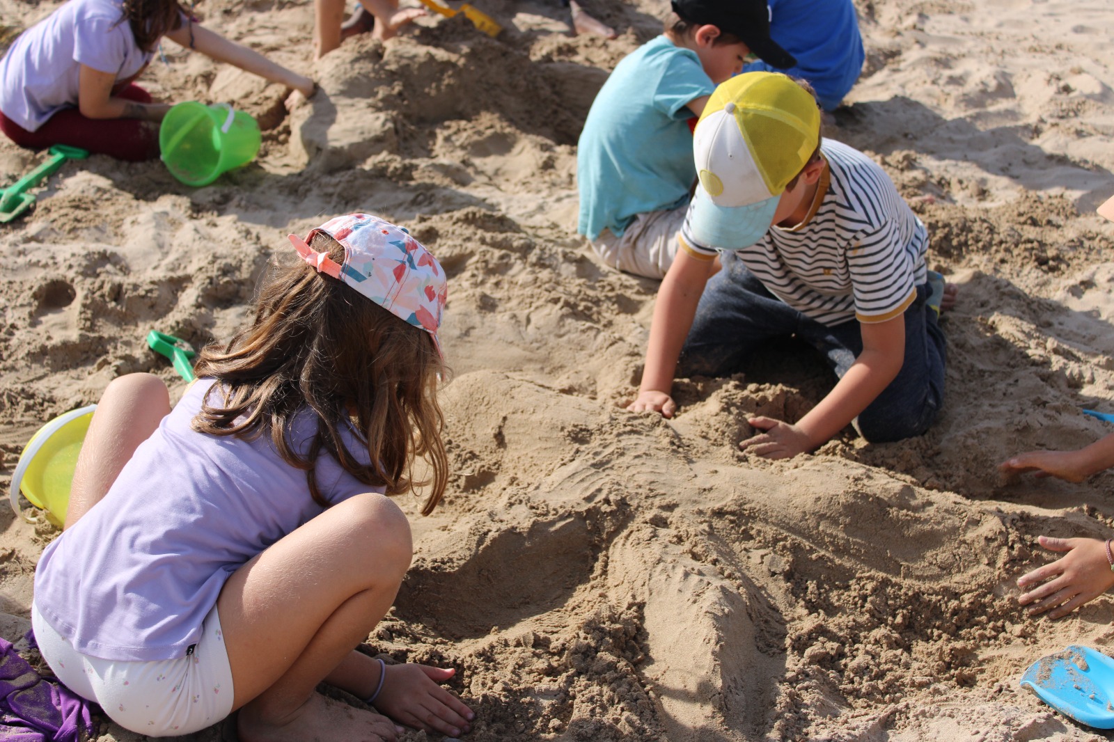 e52331f1-f09d-4fe6-9ded-ac53d2ca1363