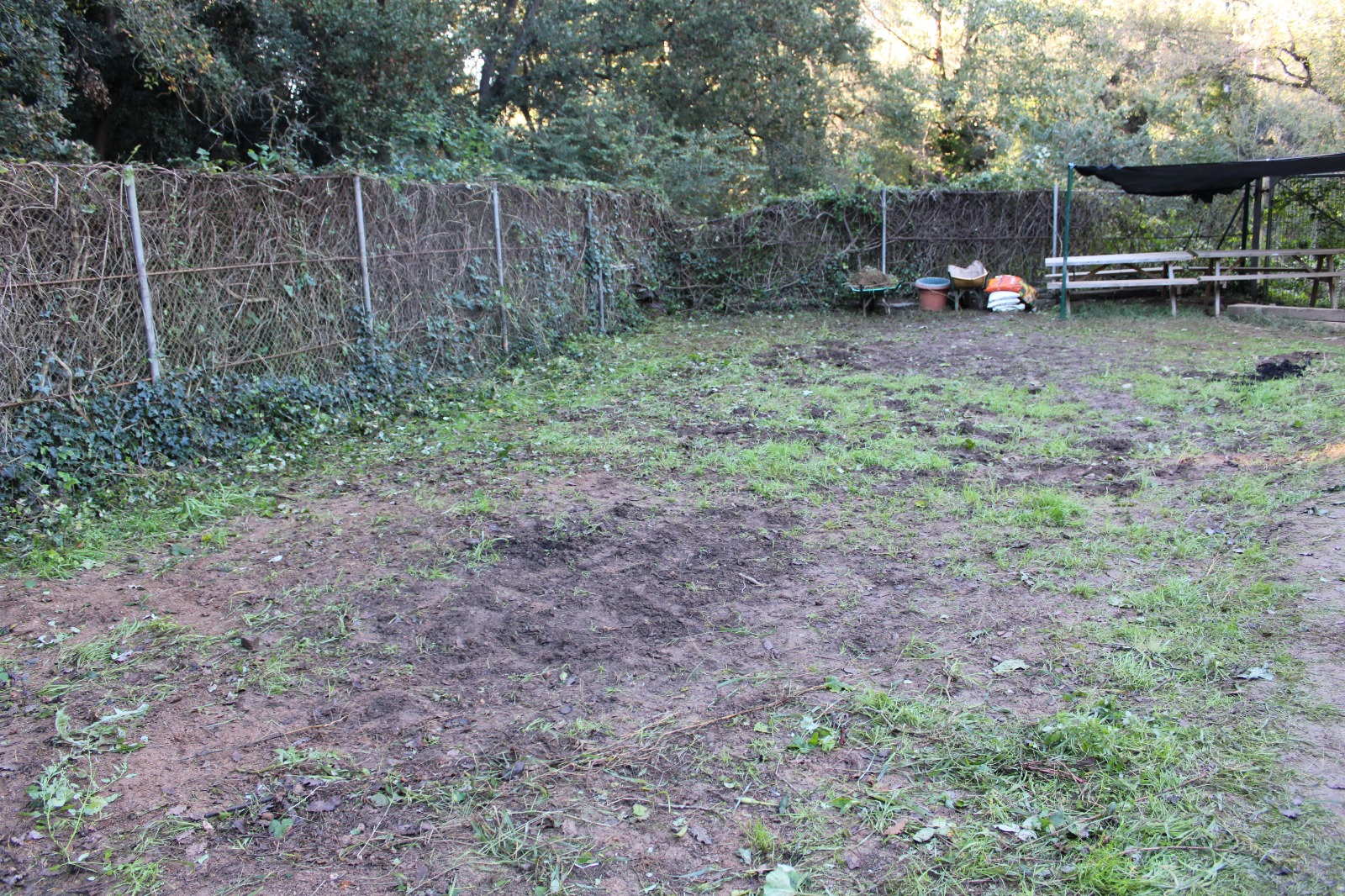 045817c2-c72a-49d3-9706-101f65153262