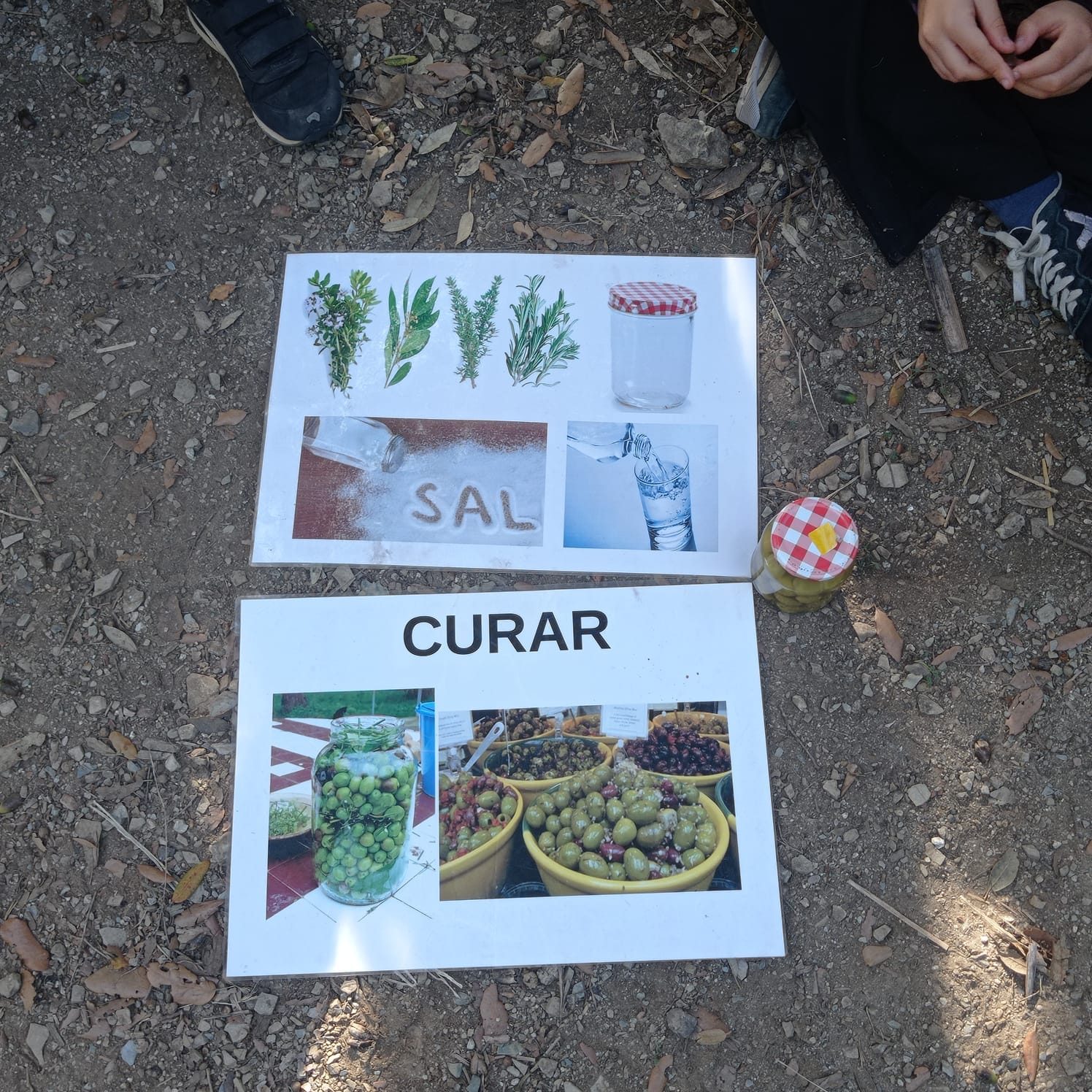 084bede9-29db-4445-bfe1-33a4180e7b5e