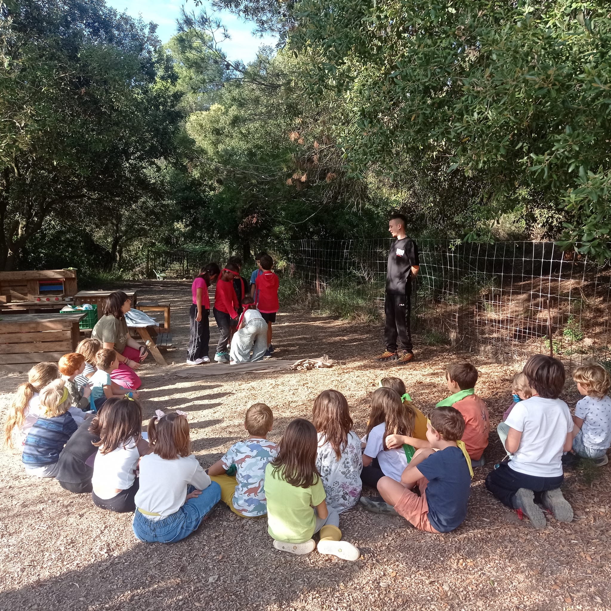 257ea382-88b9-469e-ba23-76def553e221