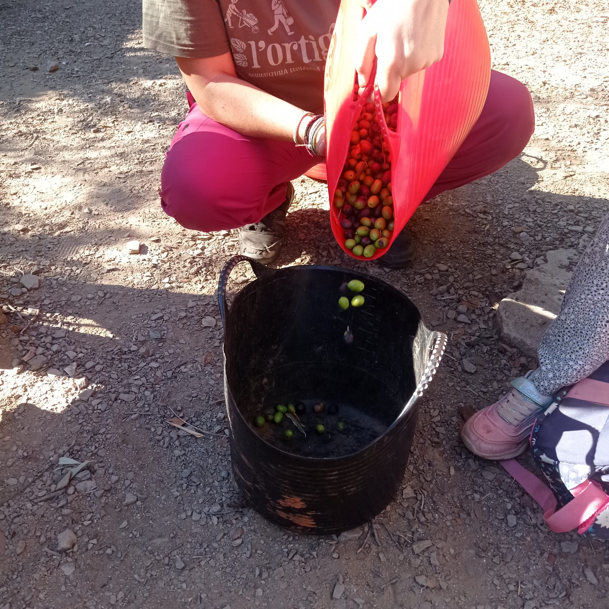 378dd293-5318-4b4b-a897-e39277b2b86c