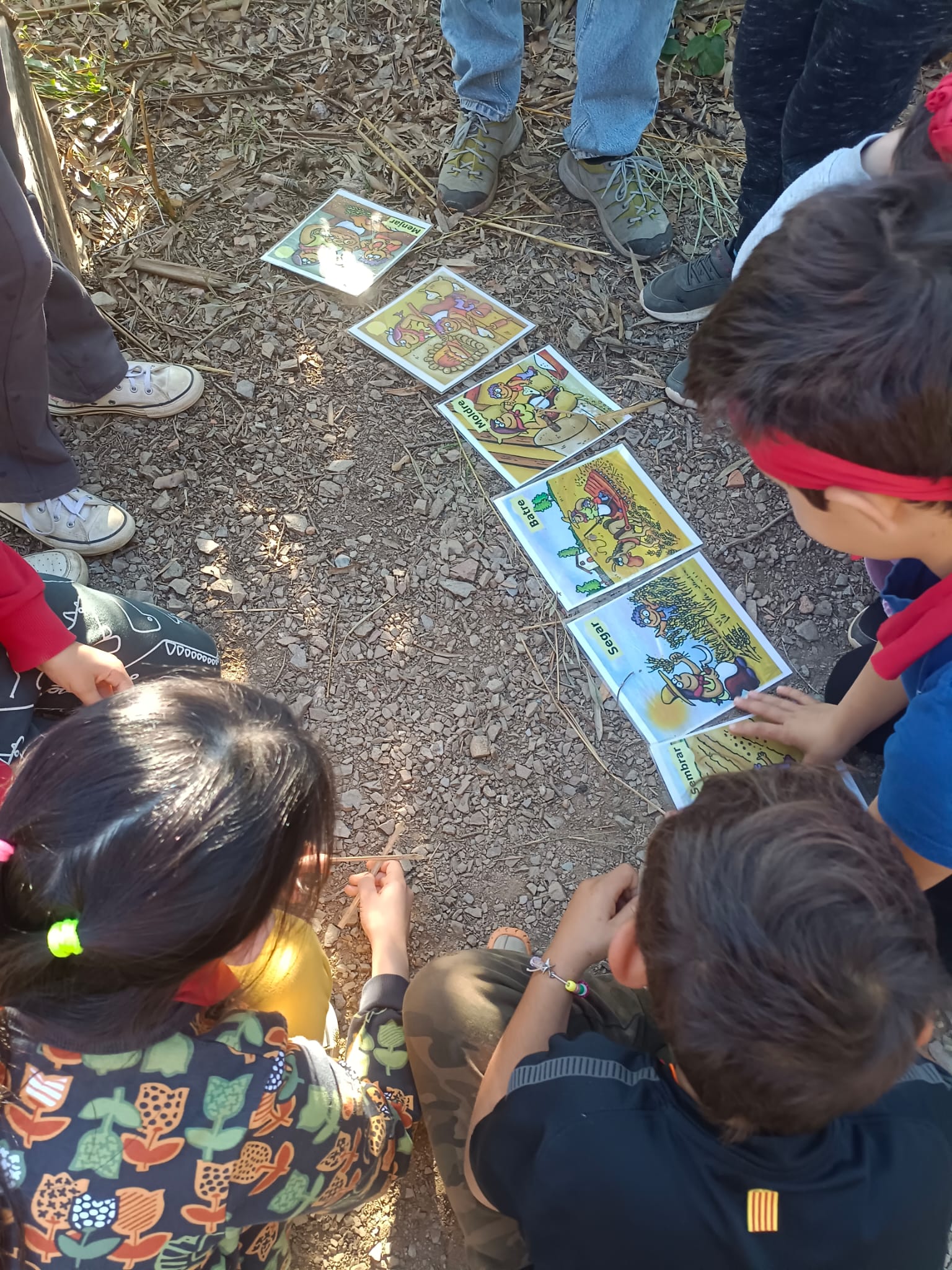 WhatsApp Image 2025-11-24 at 13.12.36