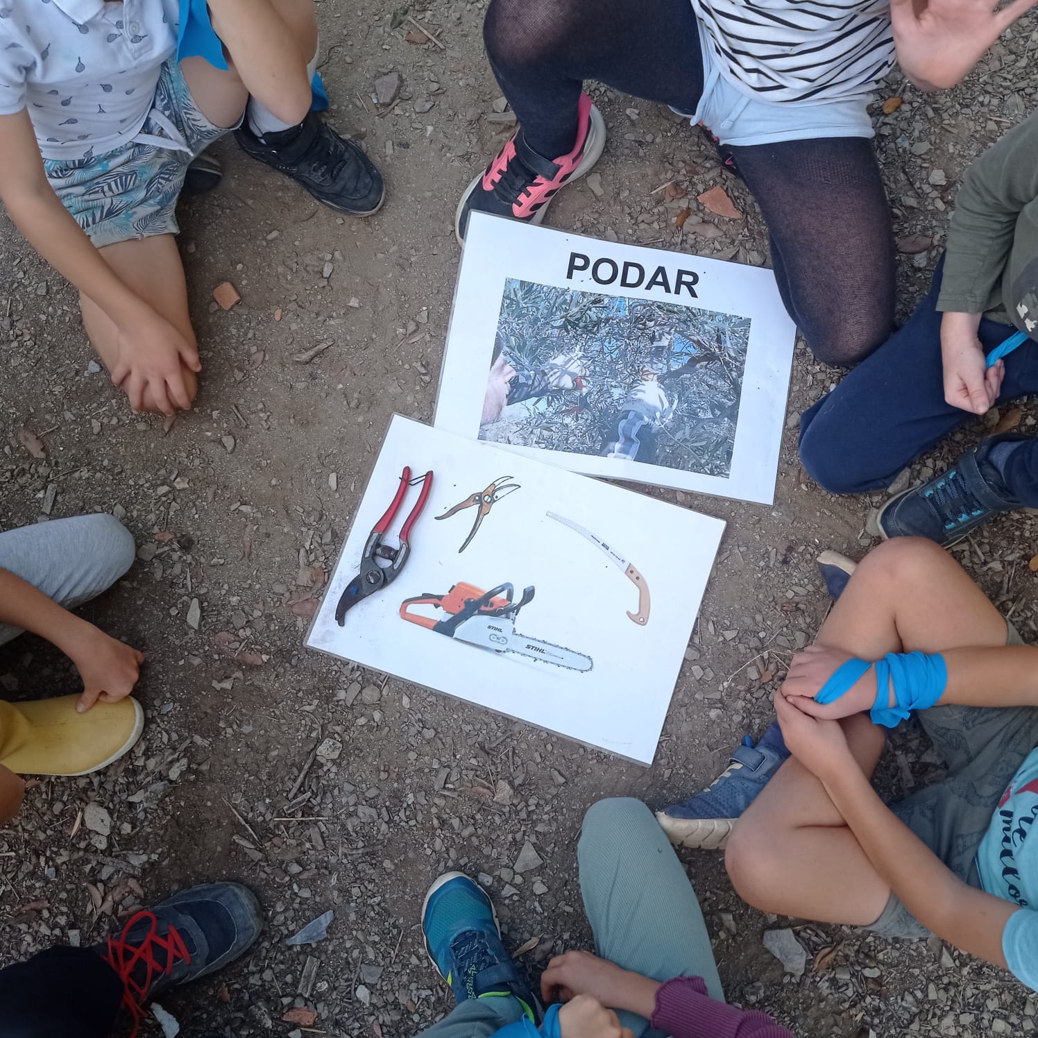 c588f217-a165-4c37-84dd-91cc8553fbca