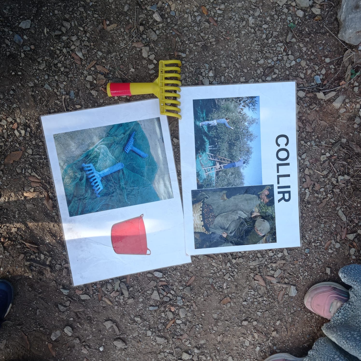 fbbecd18-00b3-4b35-99bc-057529b27940