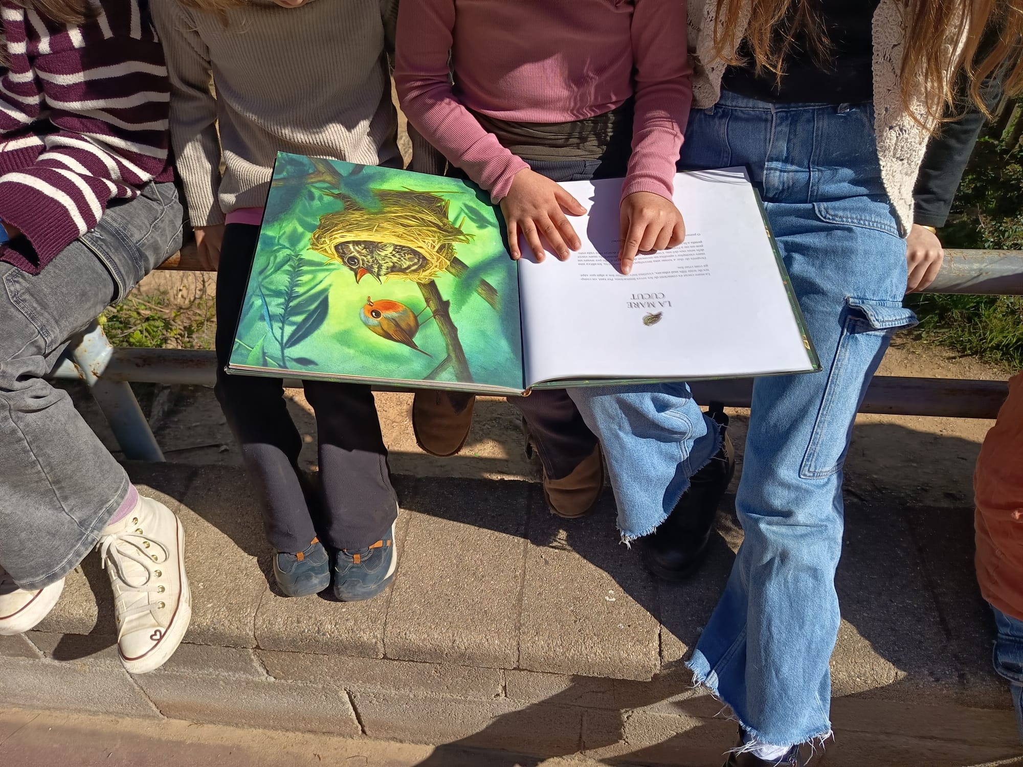 WhatsApp Image 2026-03-27 at 10.51.02