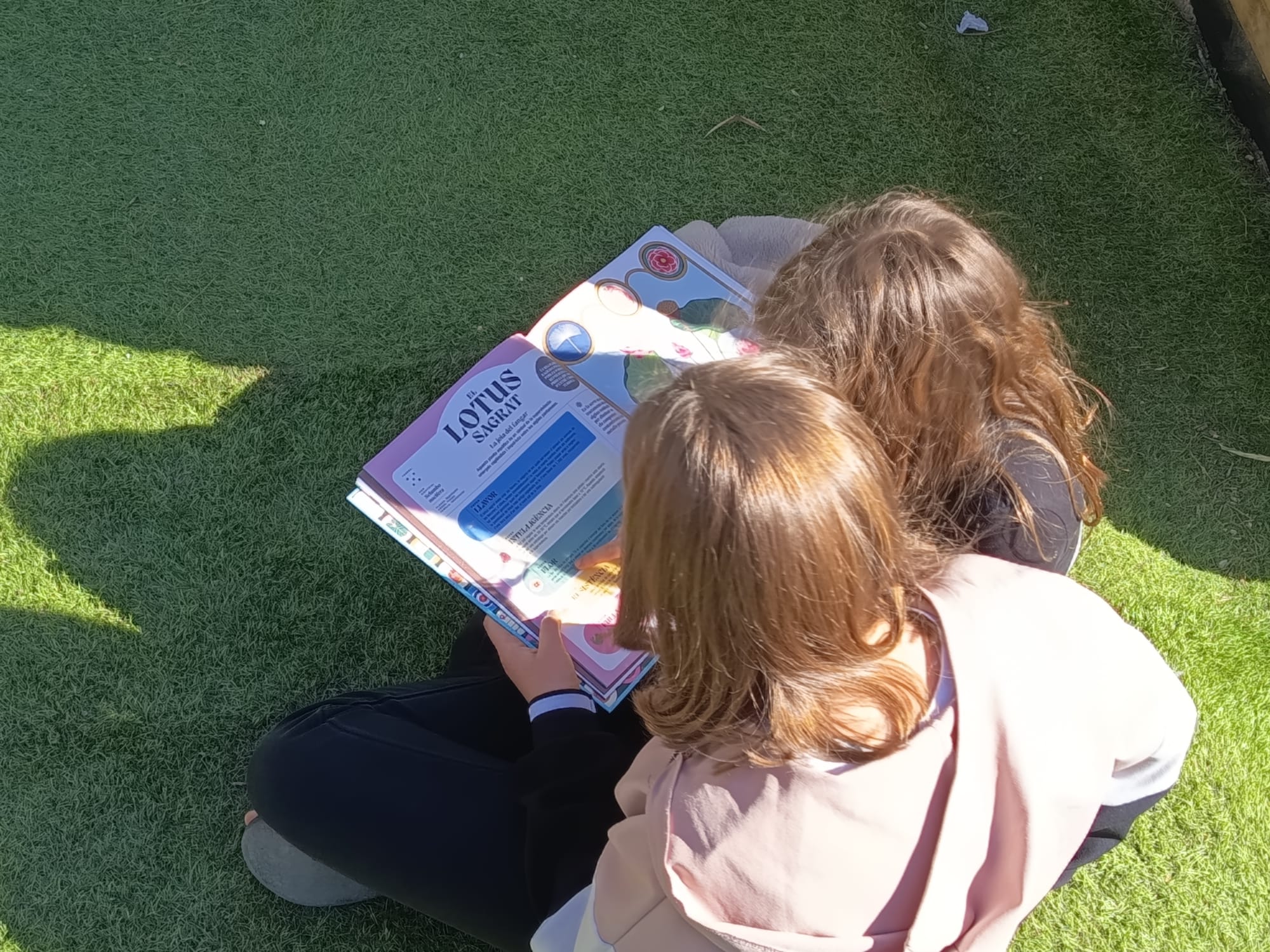 WhatsApp Image 2026-03-27 at 10.51.03