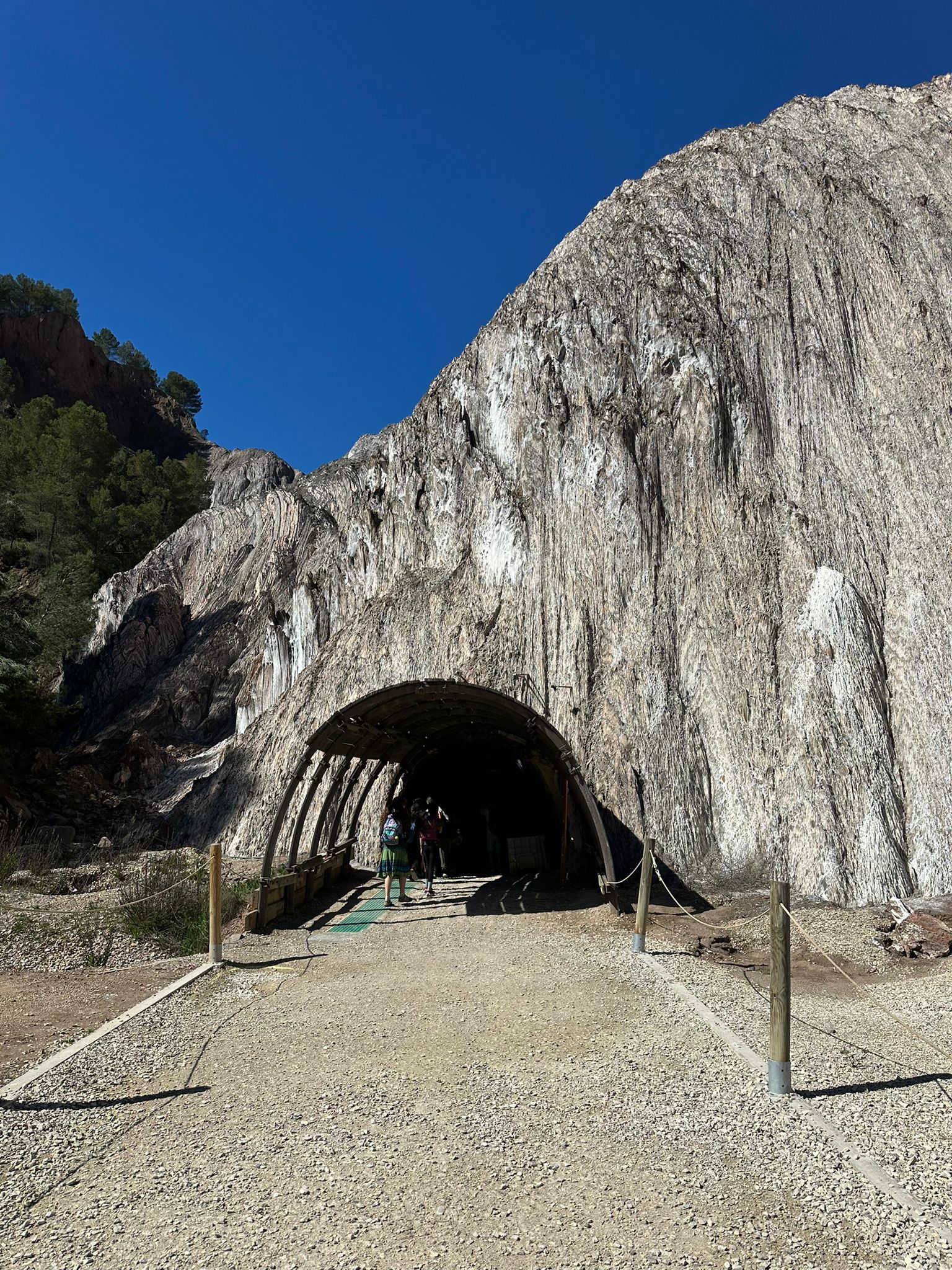 cardona 1