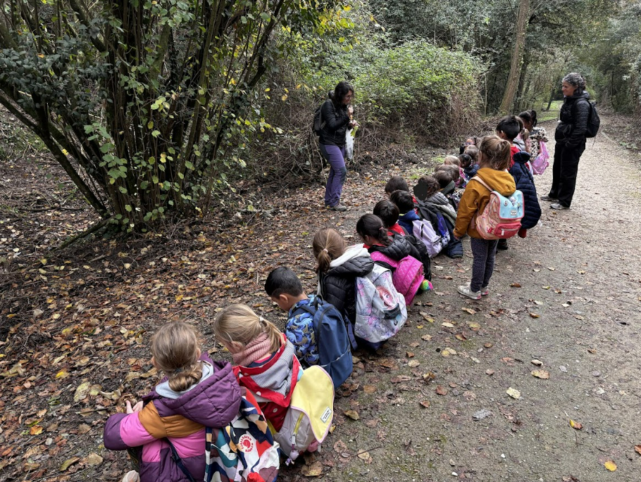 Captura de pantalla 2024-12-17 130029