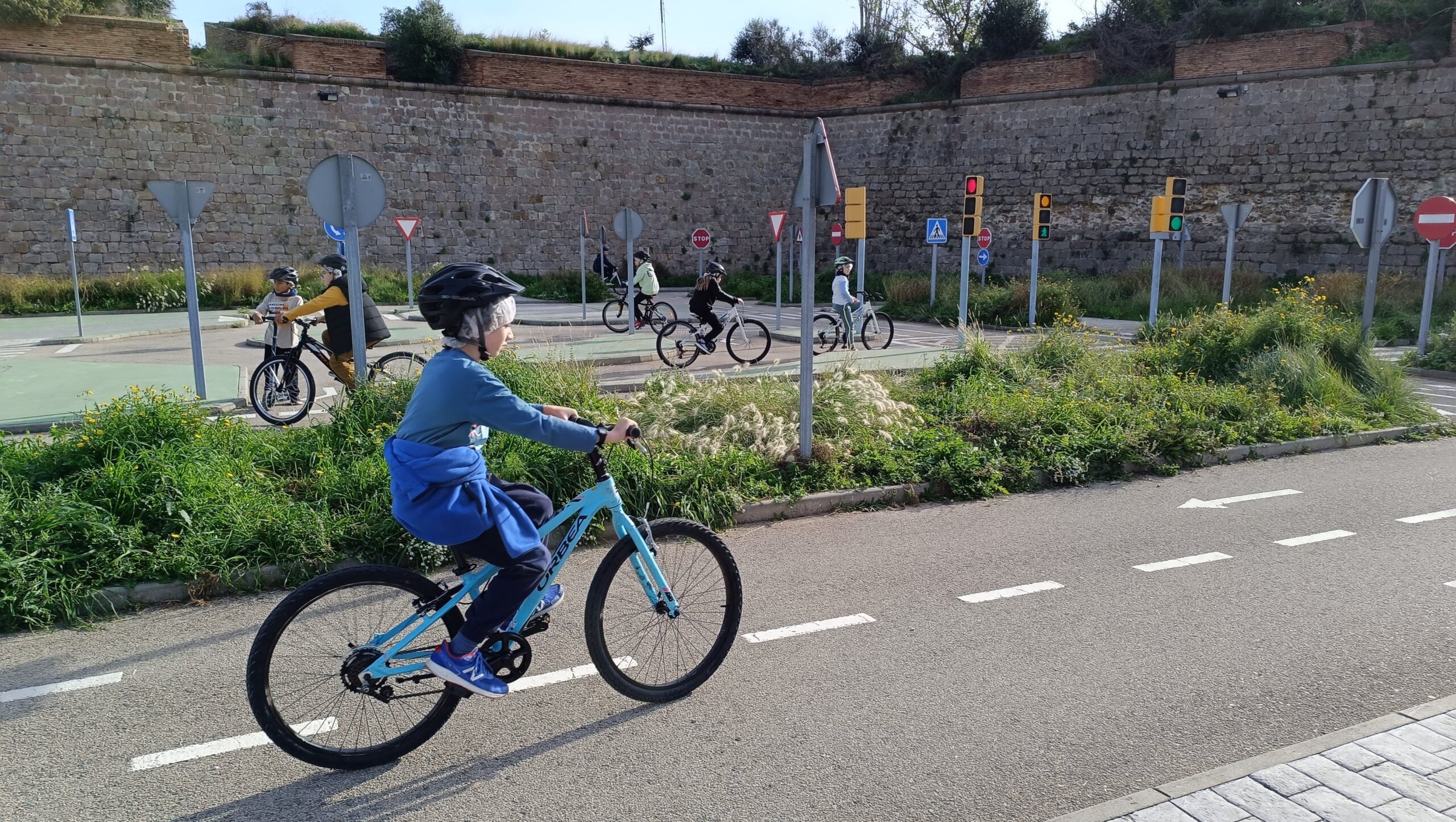 IMG_20241205_113505-min