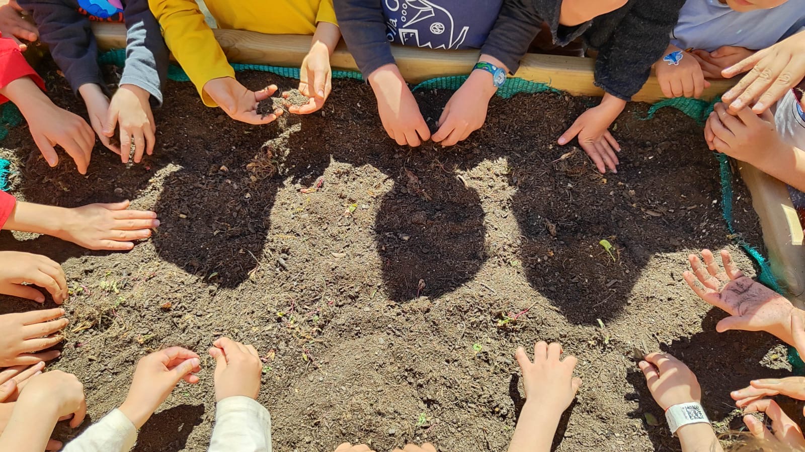 c1c6d372-bbc4-47e9-8c02-021b1e9386ec