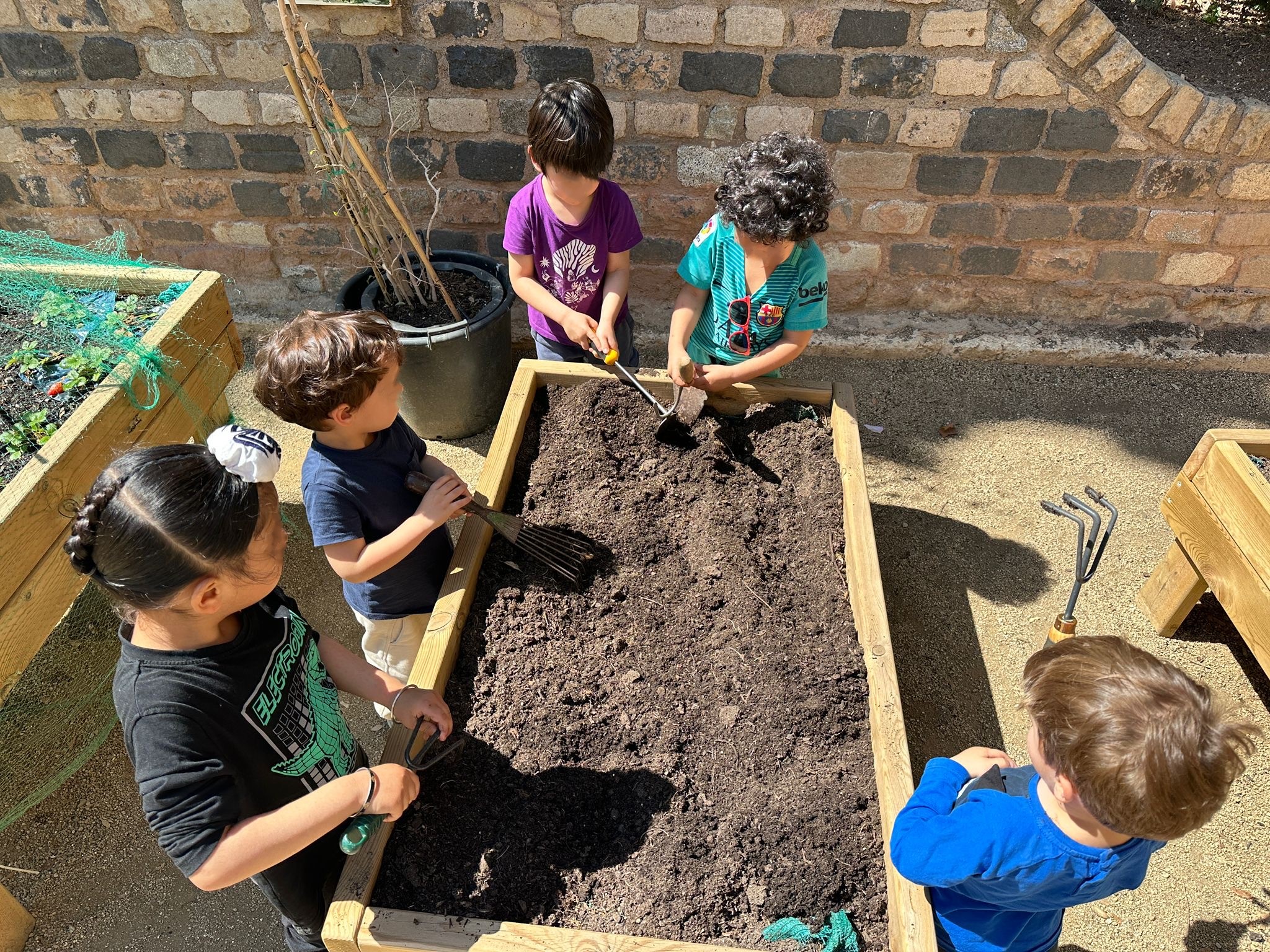 e4348d1a-2546-41ef-88b6-0652471070de