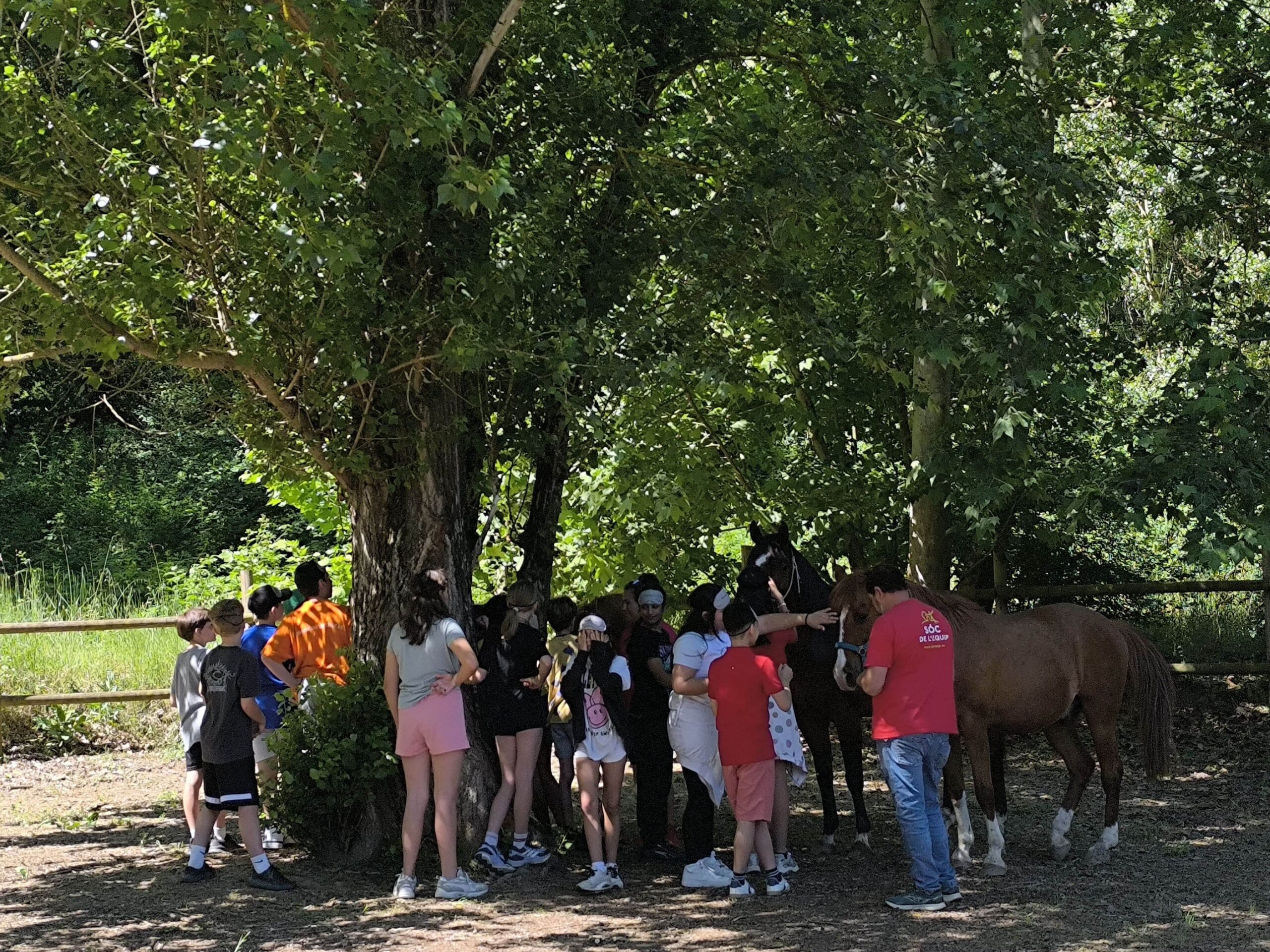 IMG_20250529_112910-min