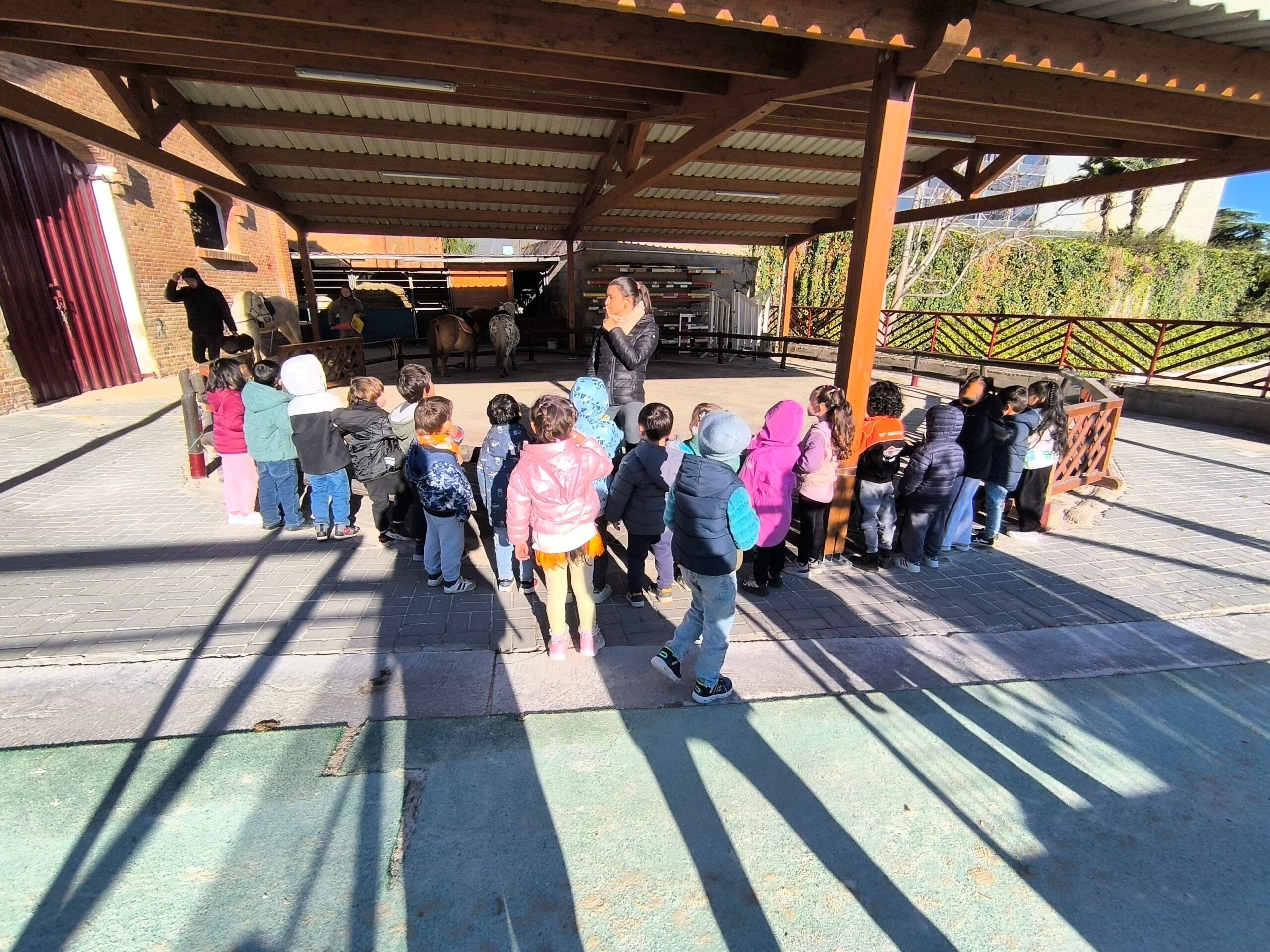 cavall i esport 4 sense cares