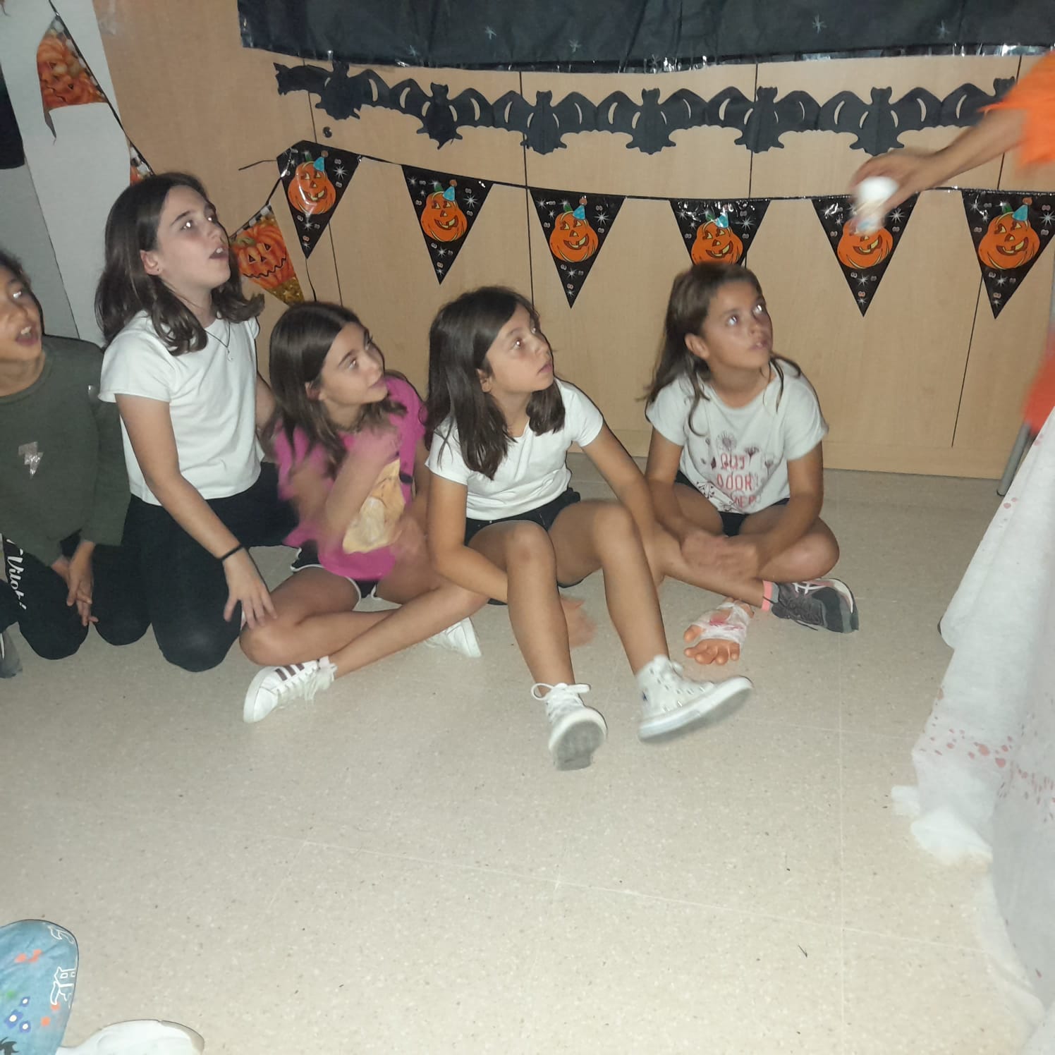 WhatsApp Image 2022-10-28 at 13.44.24 (1)