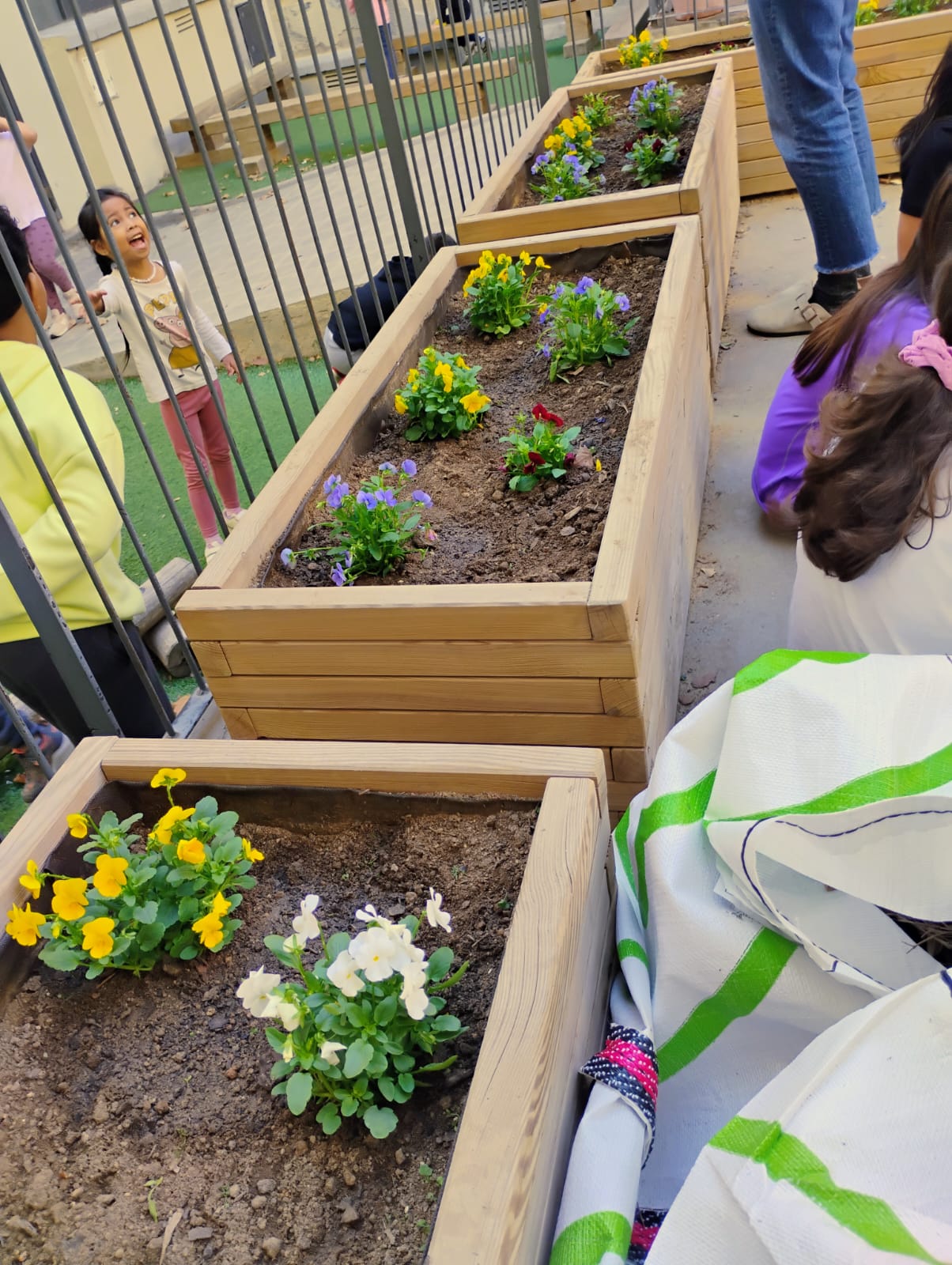 WhatsApp Image 2024-10-23 at 11.00.12 (1)