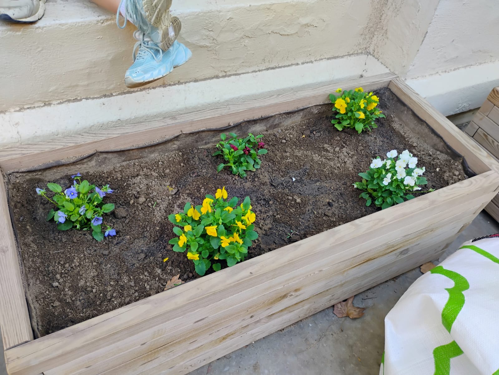 WhatsApp Image 2024-10-23 at 11.00.12