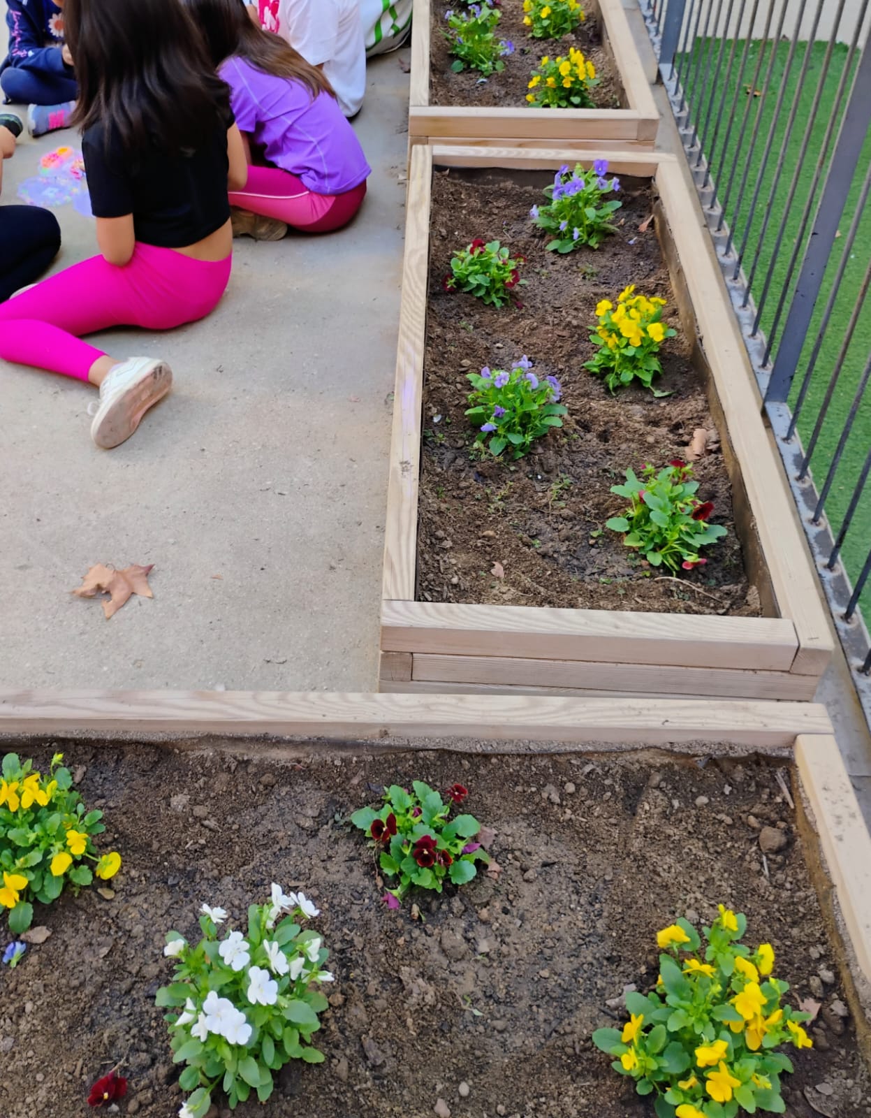 WhatsApp Image 2024-10-23 at 11.00.13 (1)