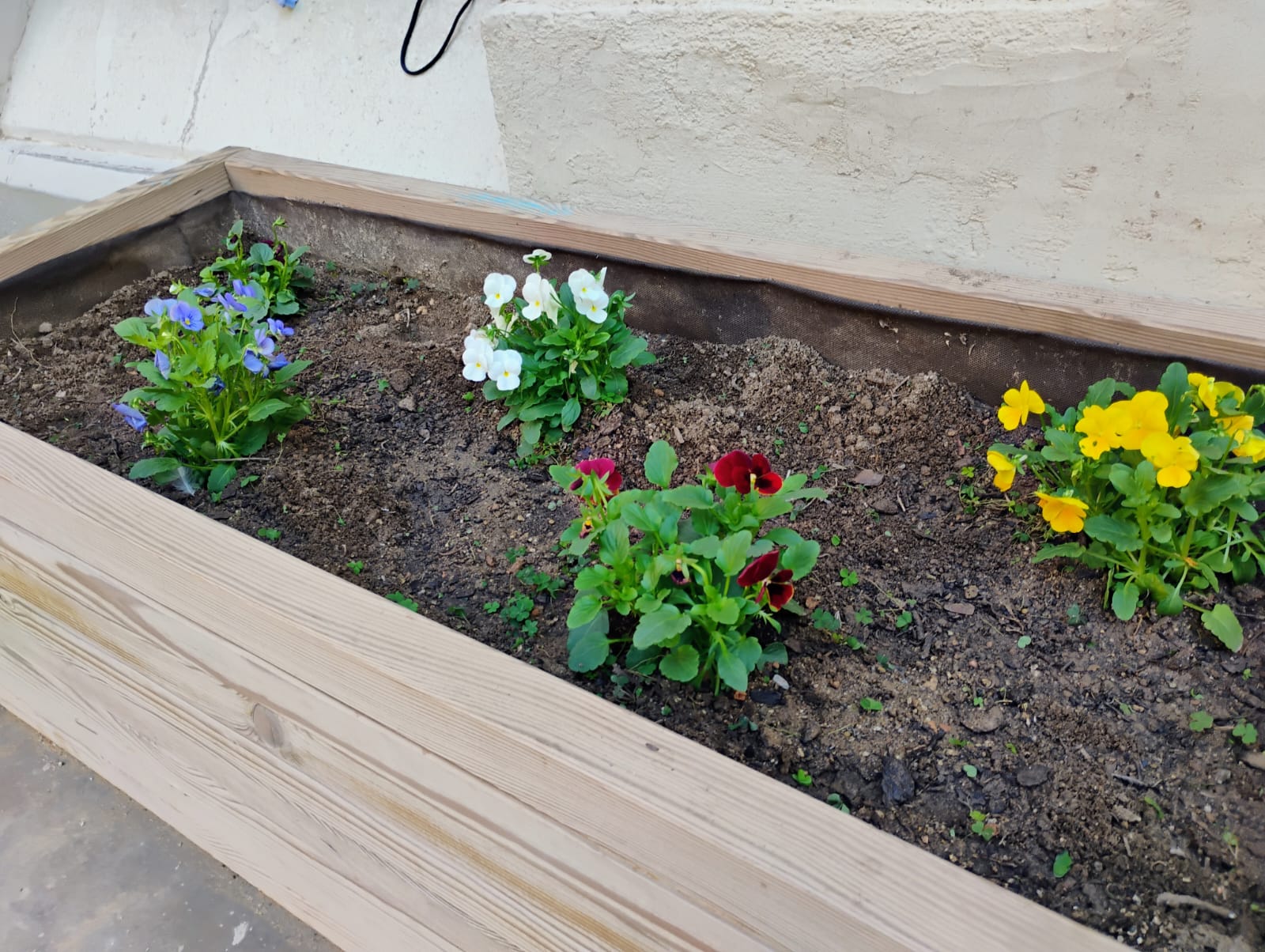 WhatsApp Image 2024-10-23 at 11.00.13