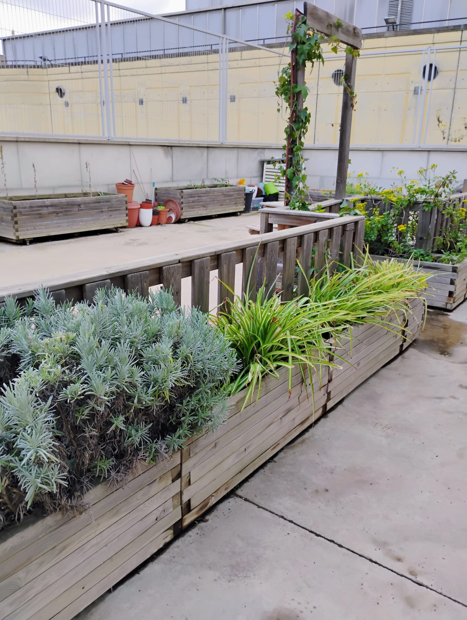 WhatsApp Image 2024-11-06 at 17.09.29