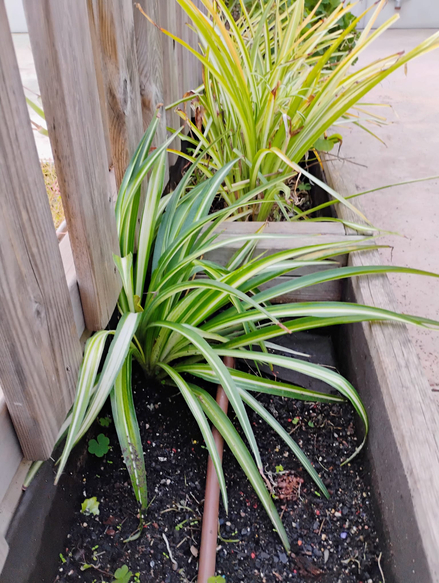 WhatsApp Image 2024-11-06 at 17.09.30 (3)