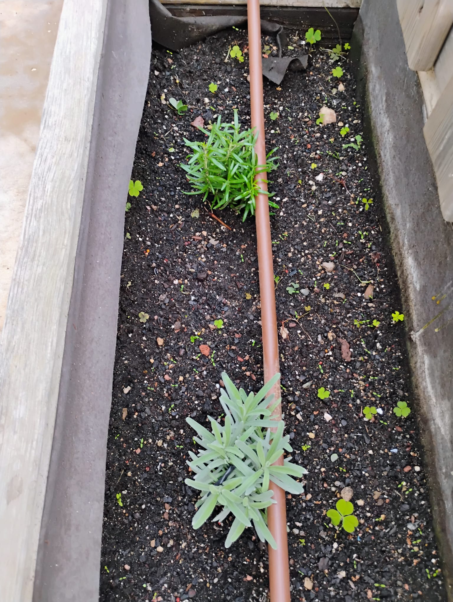 WhatsApp Image 2024-11-06 at 17.09.30 (4)