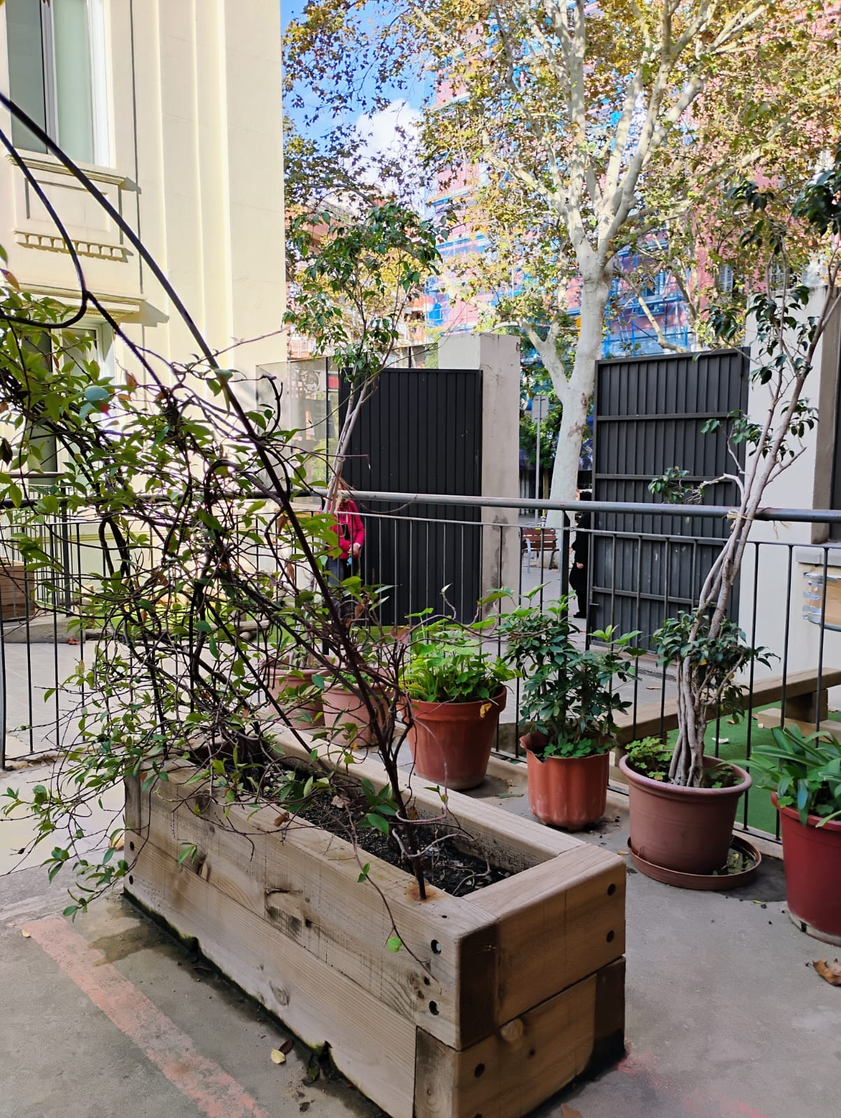 WhatsApp Image 2024-11-07 at 09.58.25 (1)