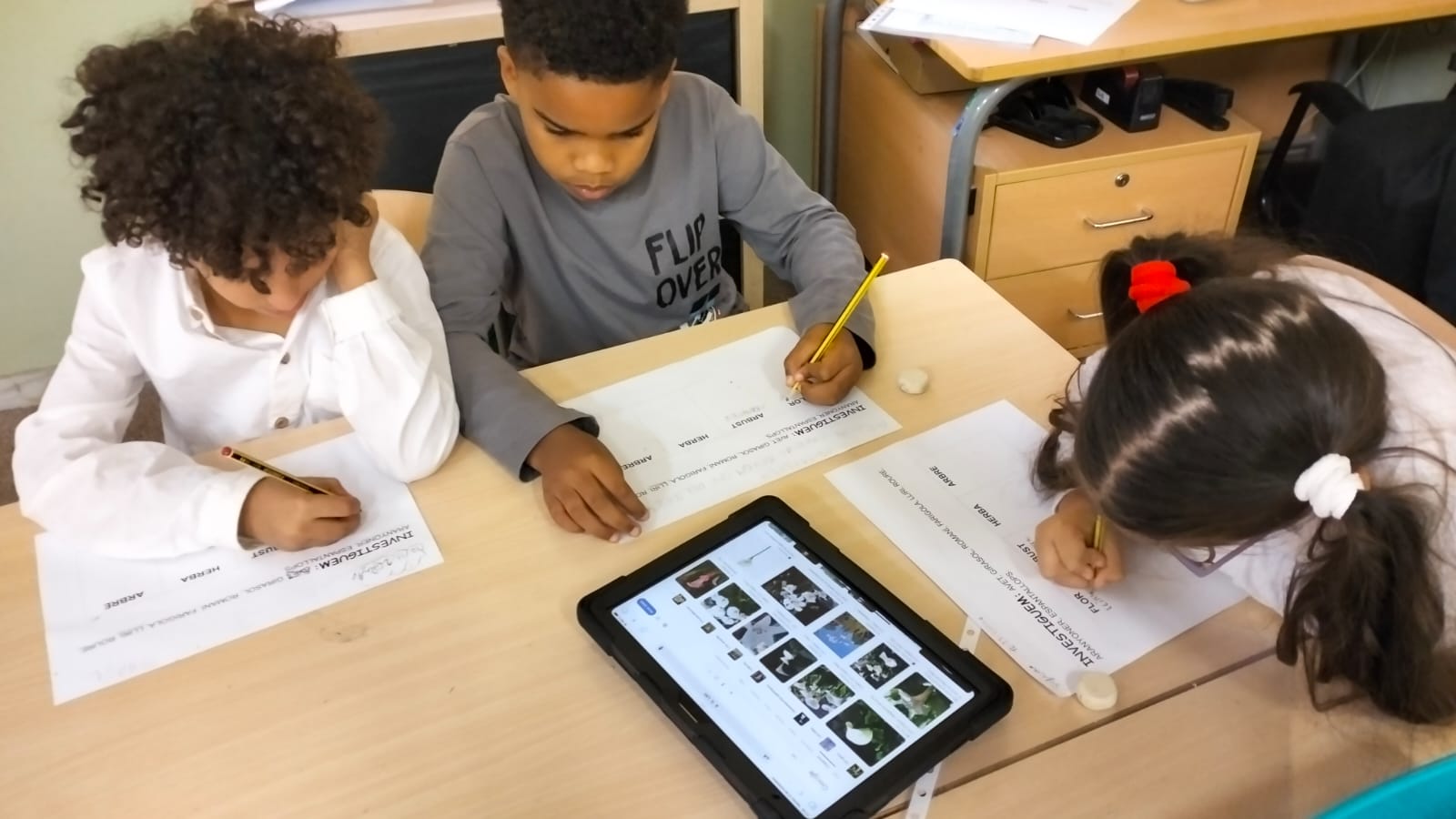 431831ac-5a65-416d-b4a1-728ae4d508fb