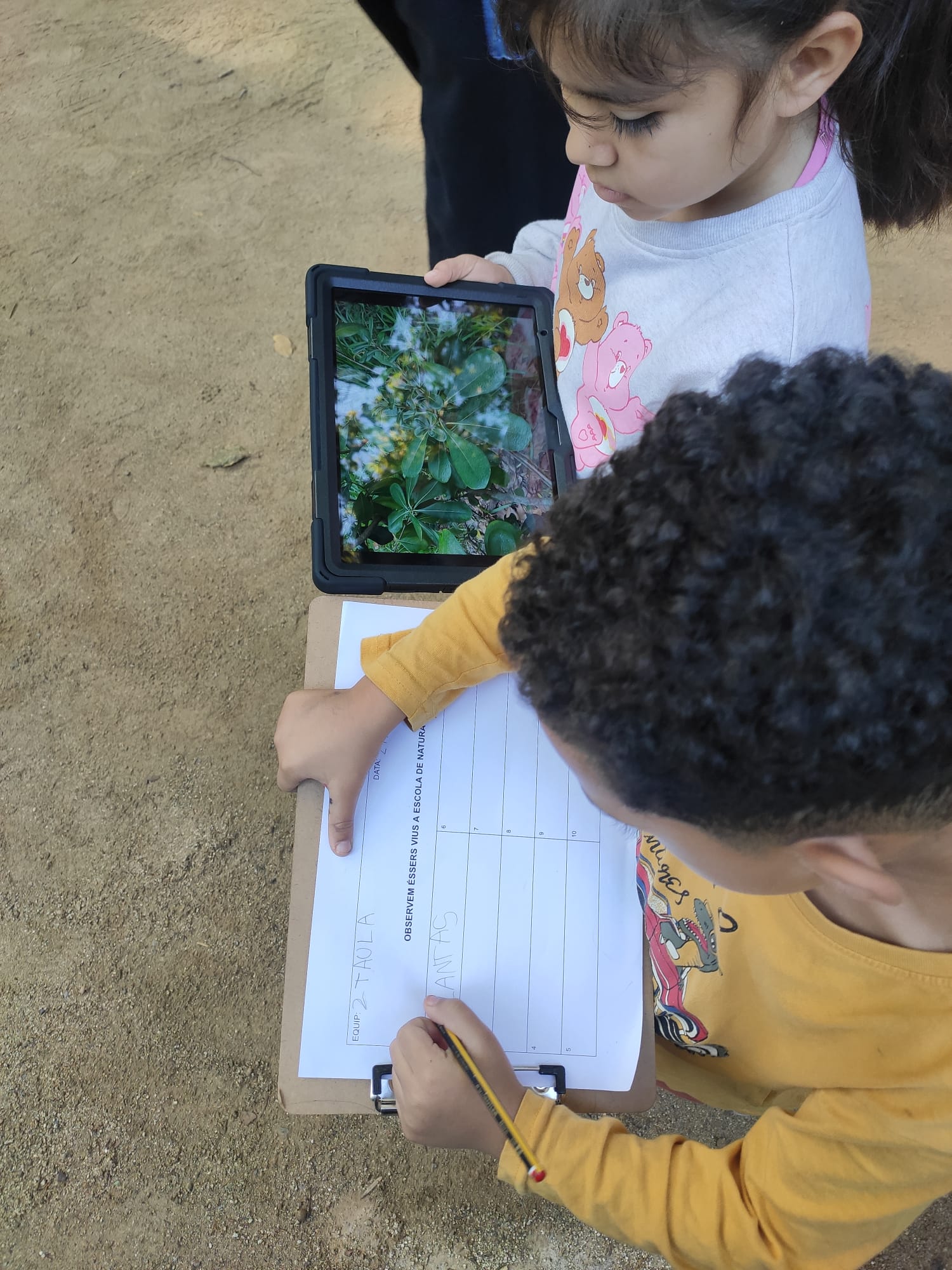 6b5f7b70-843b-4f63-a3ff-42f69aedebda