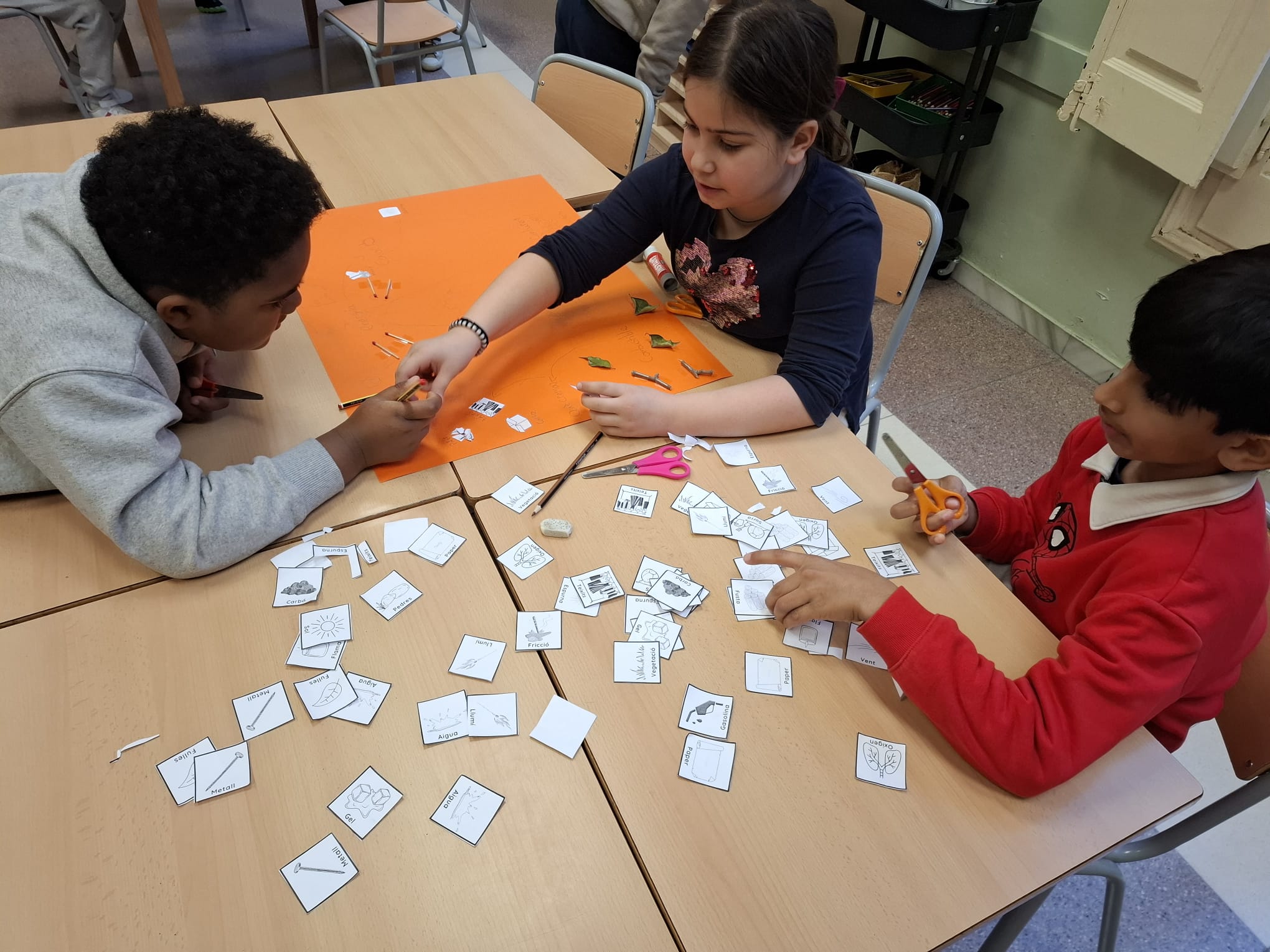 Imatge de WhatsApp 2025-02-21 a les 07.28.46_51ff23f5