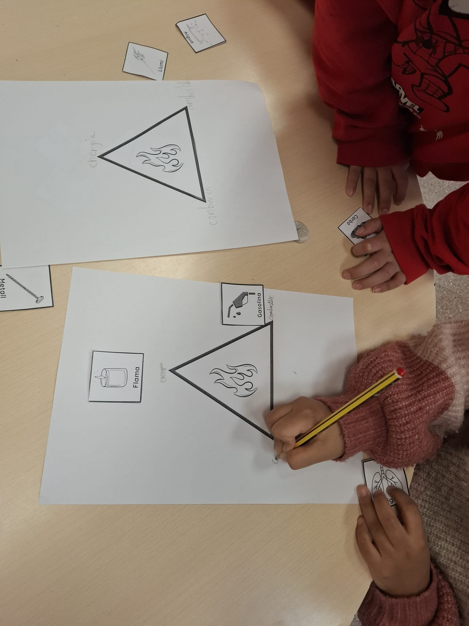 Imatge de WhatsApp 2025-02-21 a les 07.28.46_78ac375e