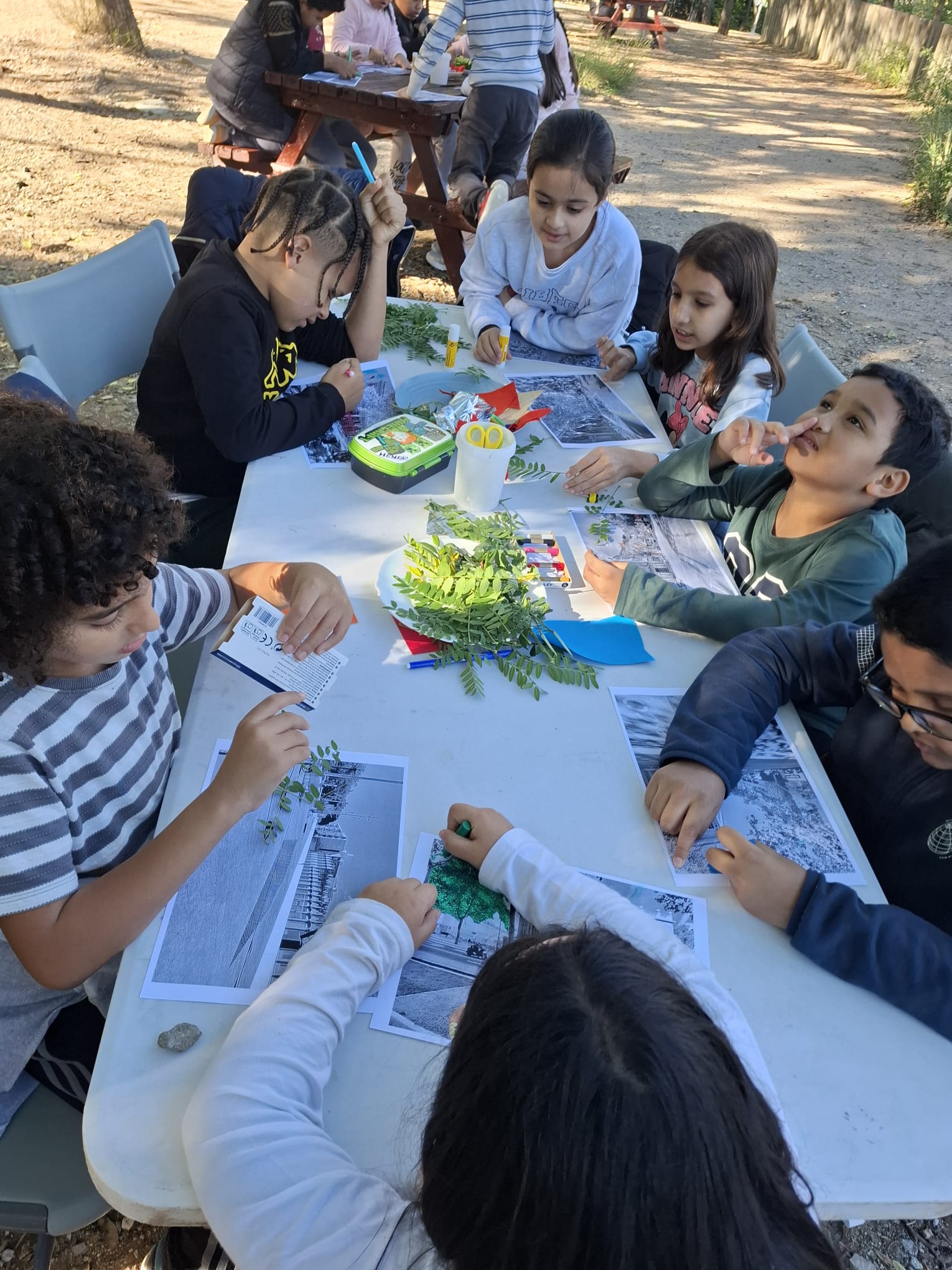 WhatsApp Image 2025-11-24 at 15.08.28 (1)