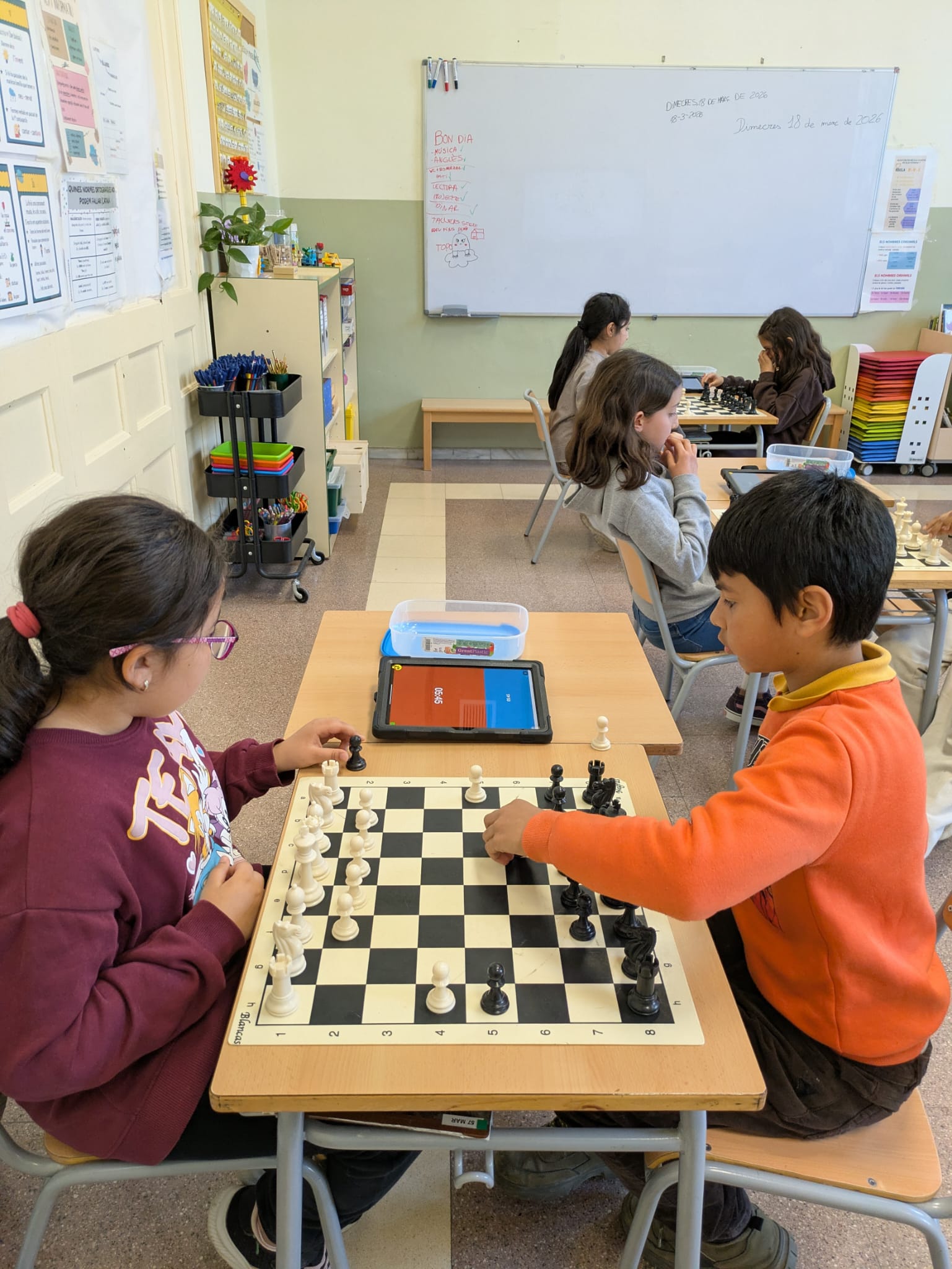 WhatsApp Image 2026-03-18 at 18.19.58 (2)