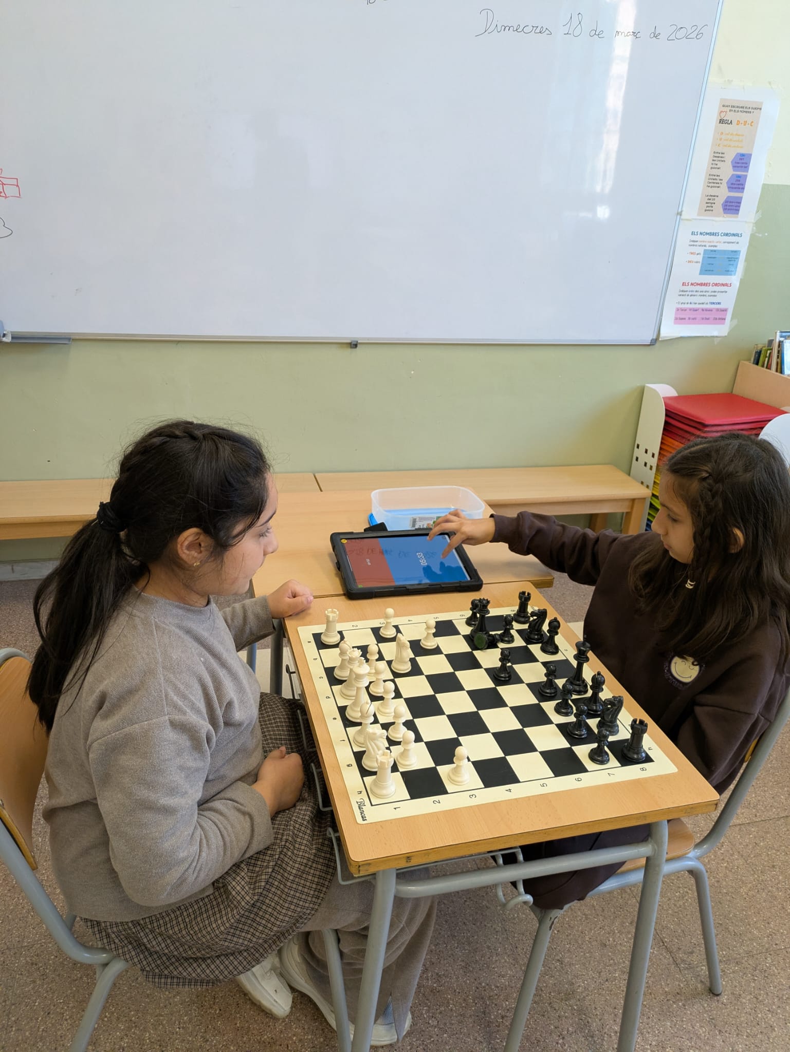 WhatsApp Image 2026-03-18 at 18.19.58 (4)