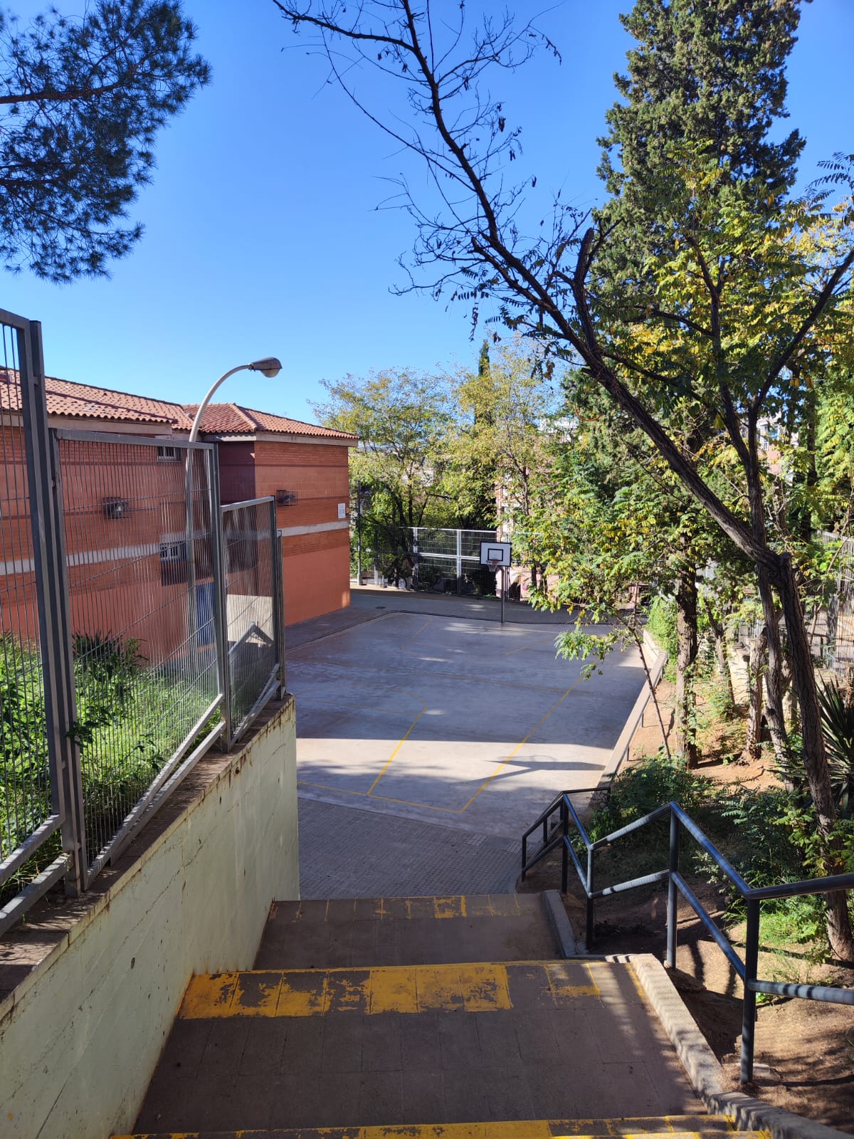 WhatsApp Image 2024-11-22 at 14.40.40