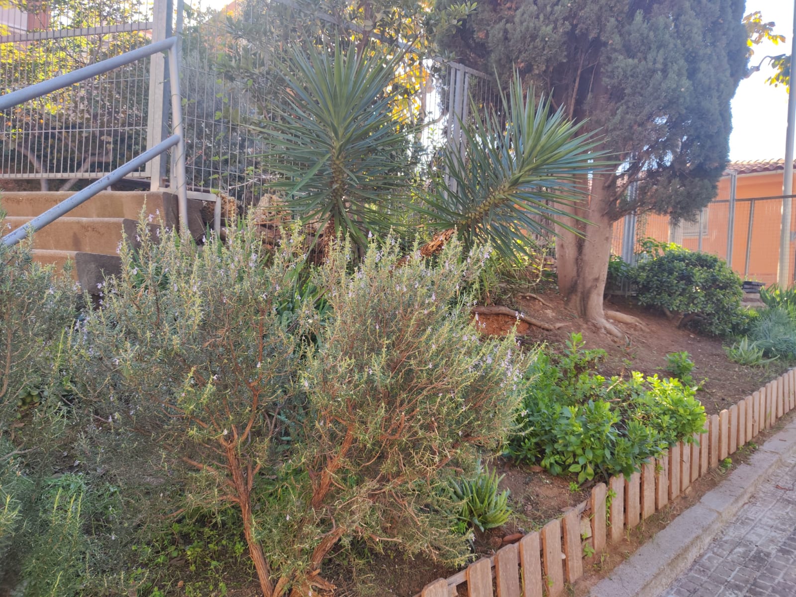 WhatsApp Image 2024-11-22 at 14.40.43 (3)