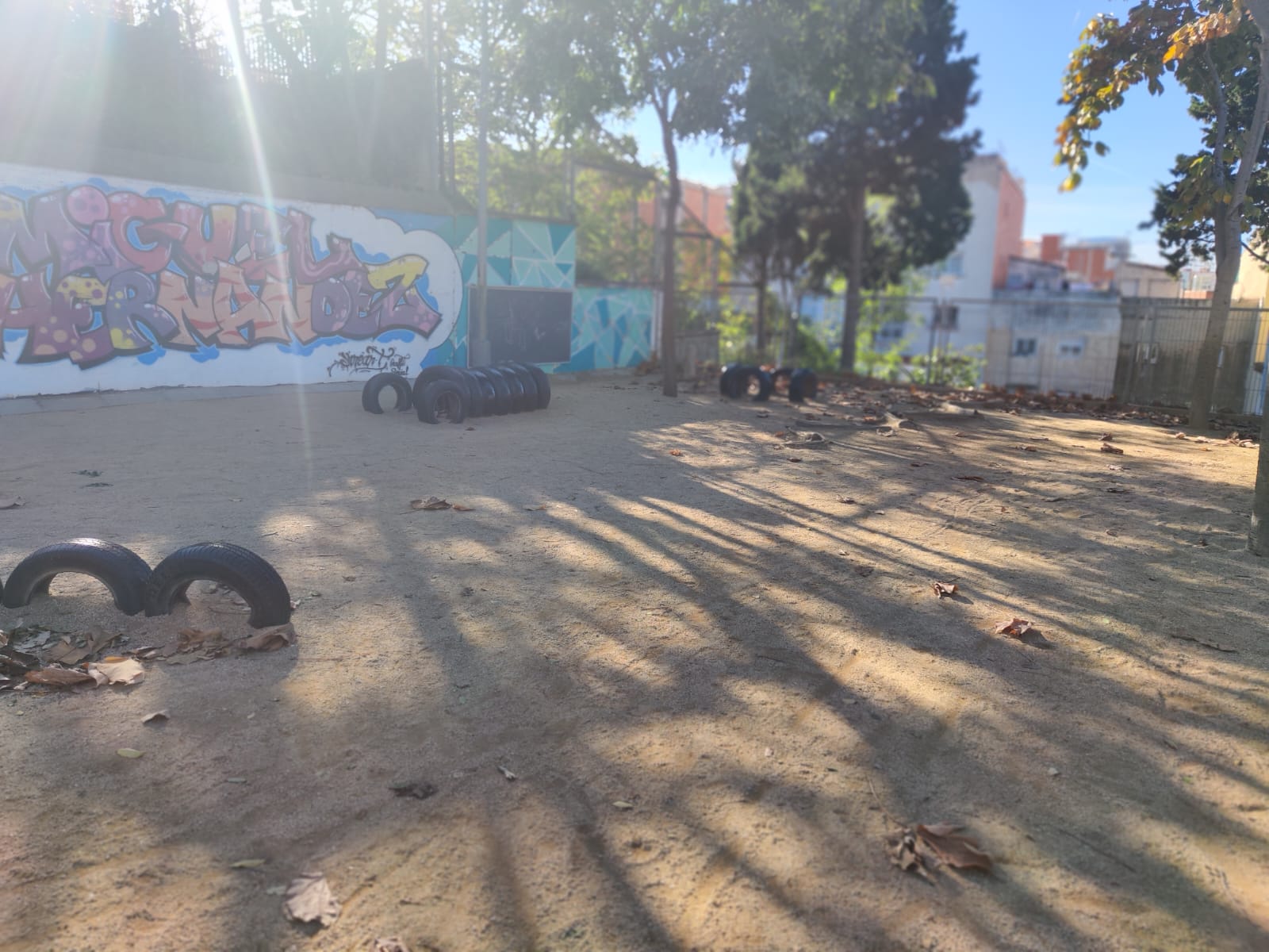 WhatsApp Image 2024-11-22 at 14.40.43