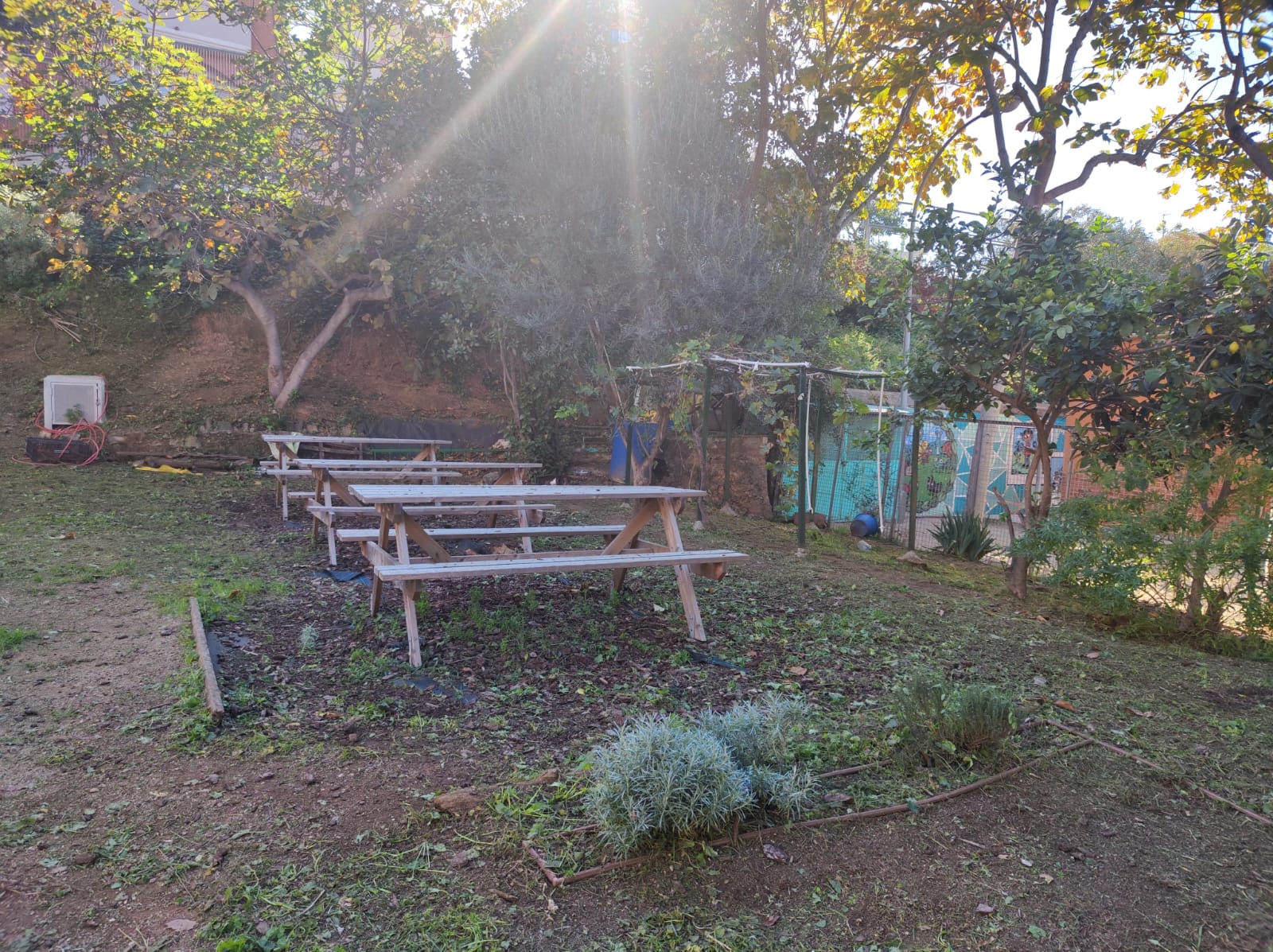 WhatsApp Image 2024-11-22 at 14.40.44