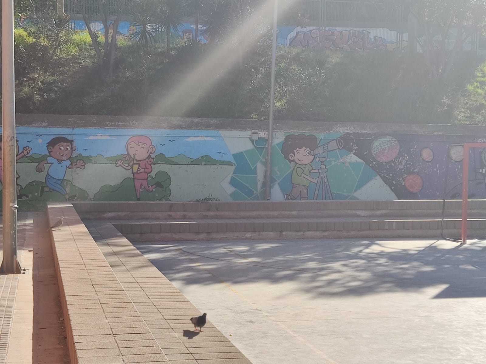 WhatsApp Image 2024-11-22 at 14.40.46 (3)