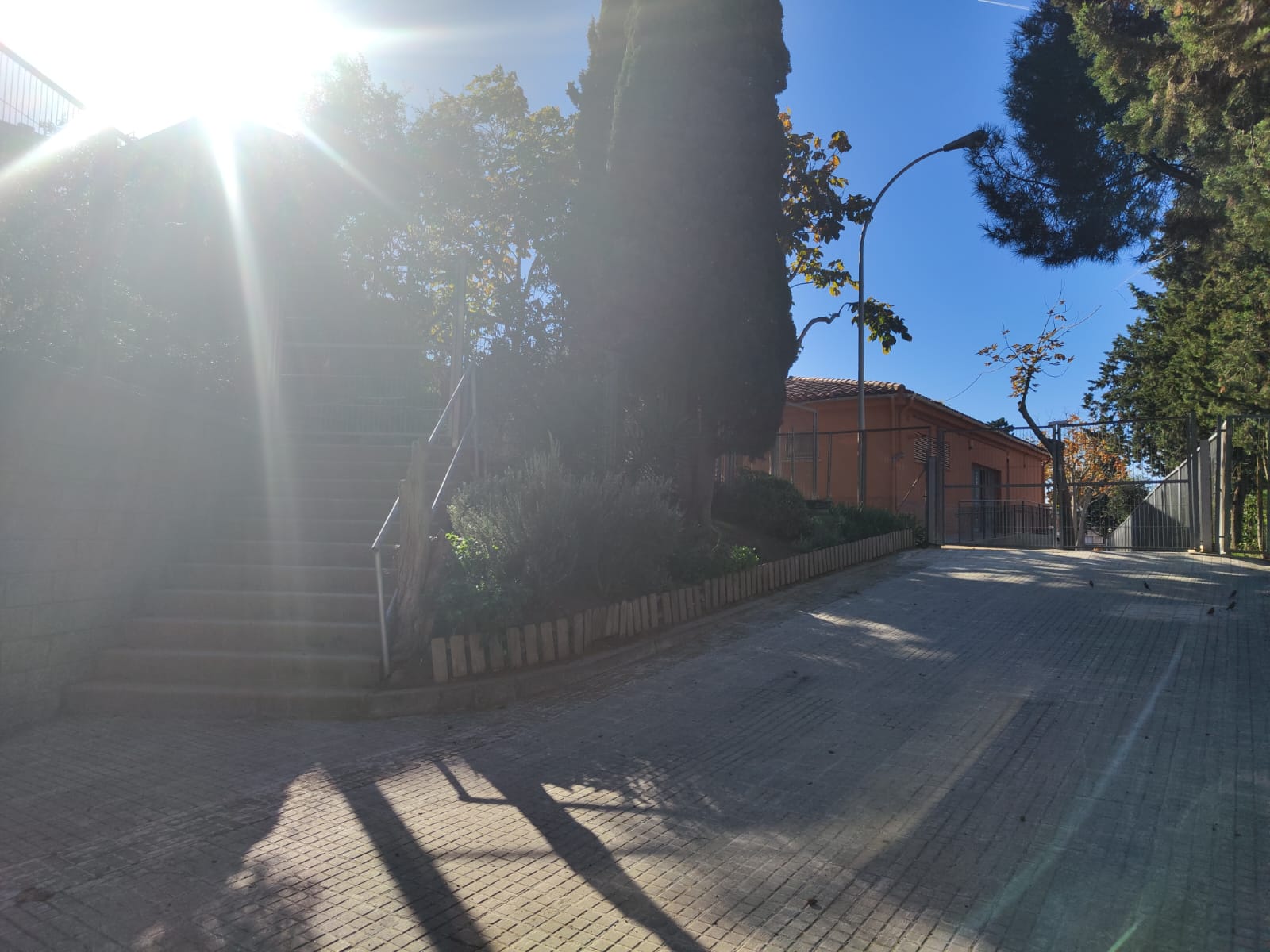 WhatsApp Image 2024-11-22 at 14.40.46